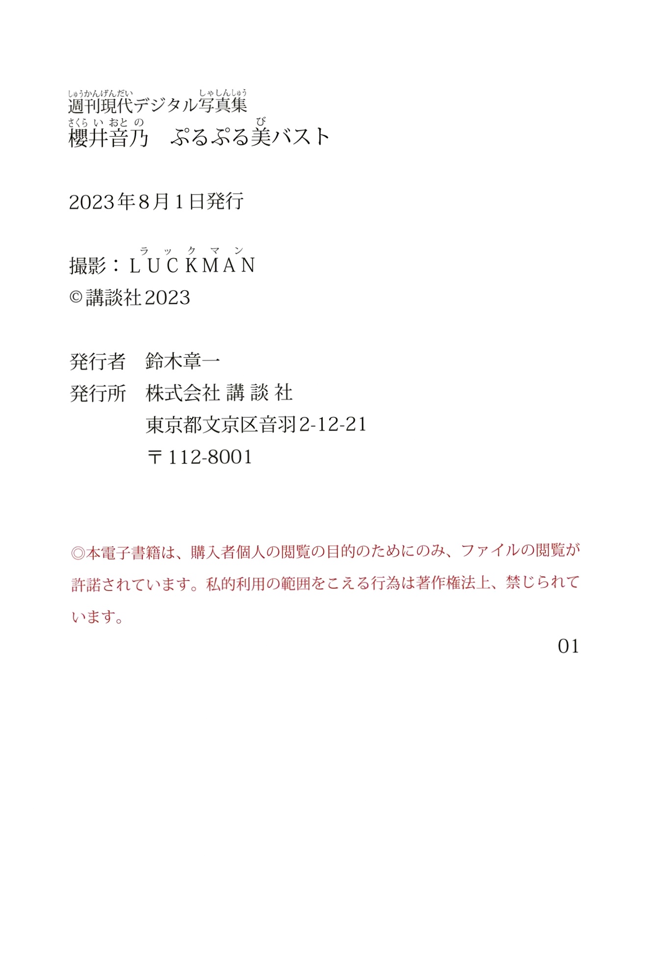 櫻井音乃 - 阳光彩虹比基尼与黑色高叉泳装性感写真 极品美胸诱惑