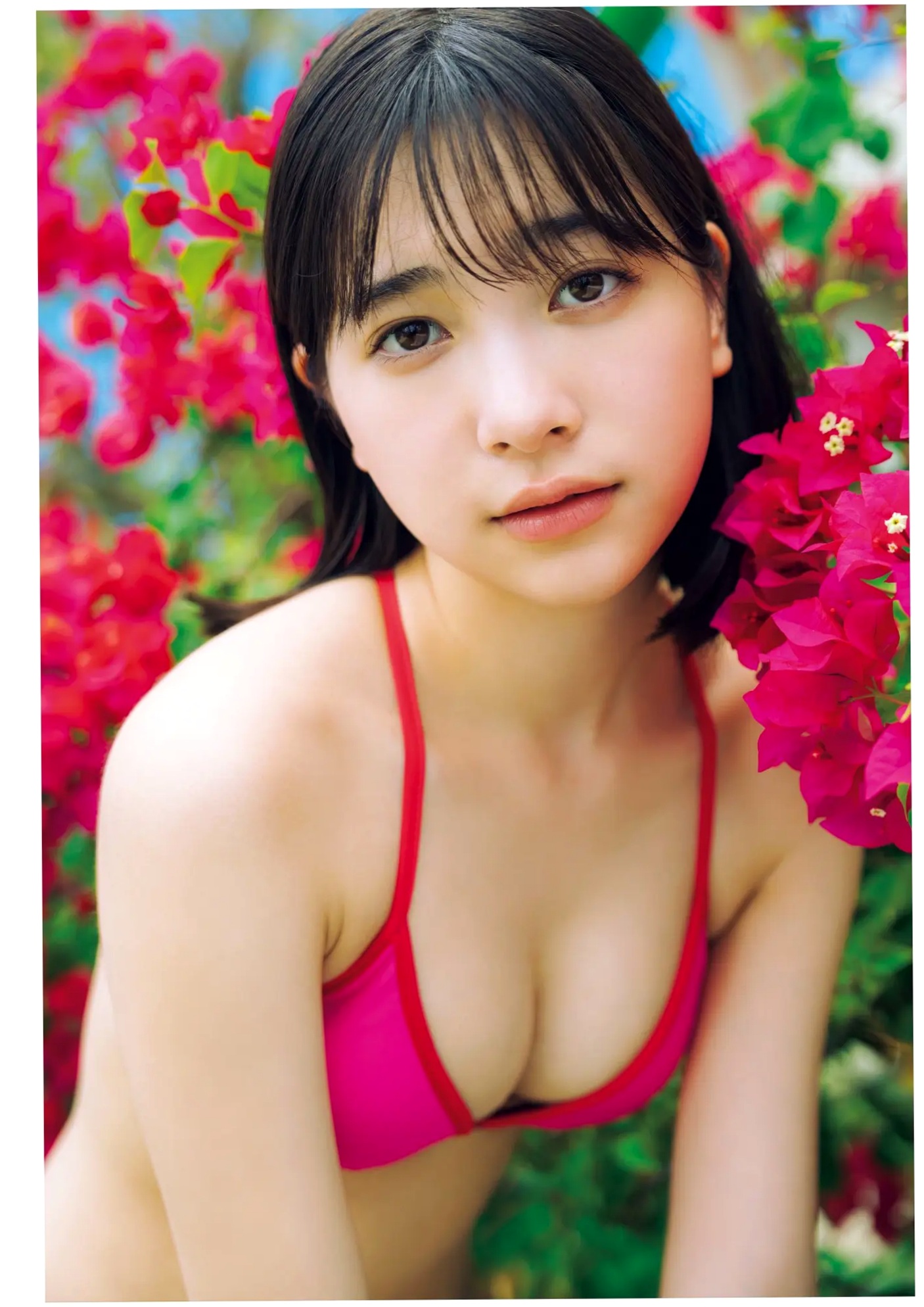 今森茉耶 - Love Begins 恋がはじまる 海边沙滩比基尼与清纯私房写真