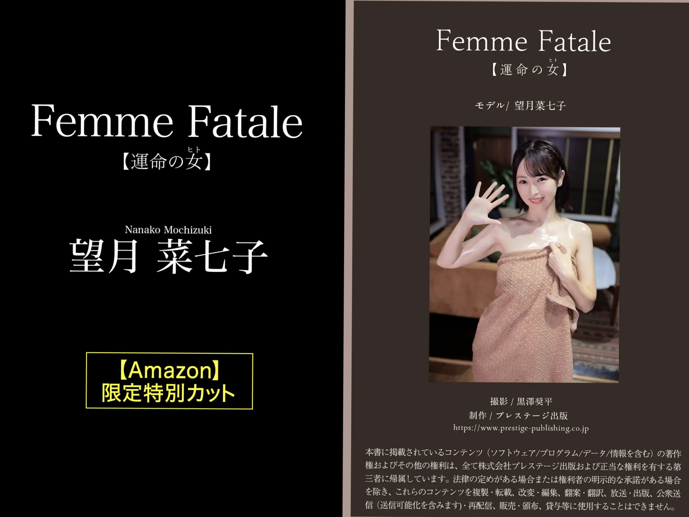 望月菜七子 - 運命の女:日本极品女神比基尼湿身私房写真