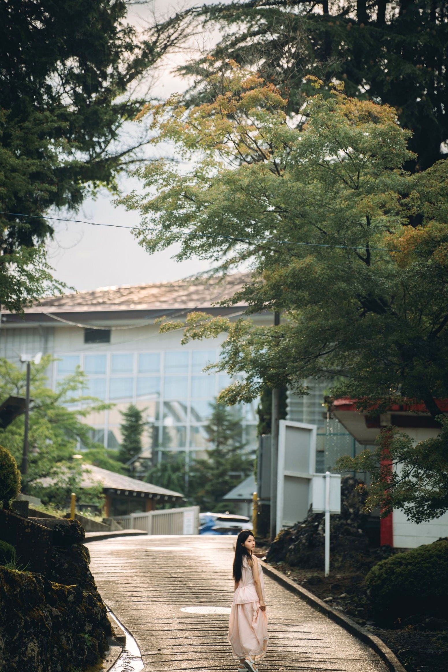 蠢沫沫-夏想-下 日系家居私房内衣性感湿身写真