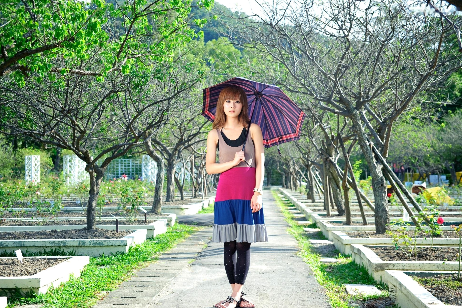 台湾正妹Mikako/果子MM户外唯美写真,华丽宫廷风与清新夏日裙装,双溪公园士林官邸赏心悦目实拍
