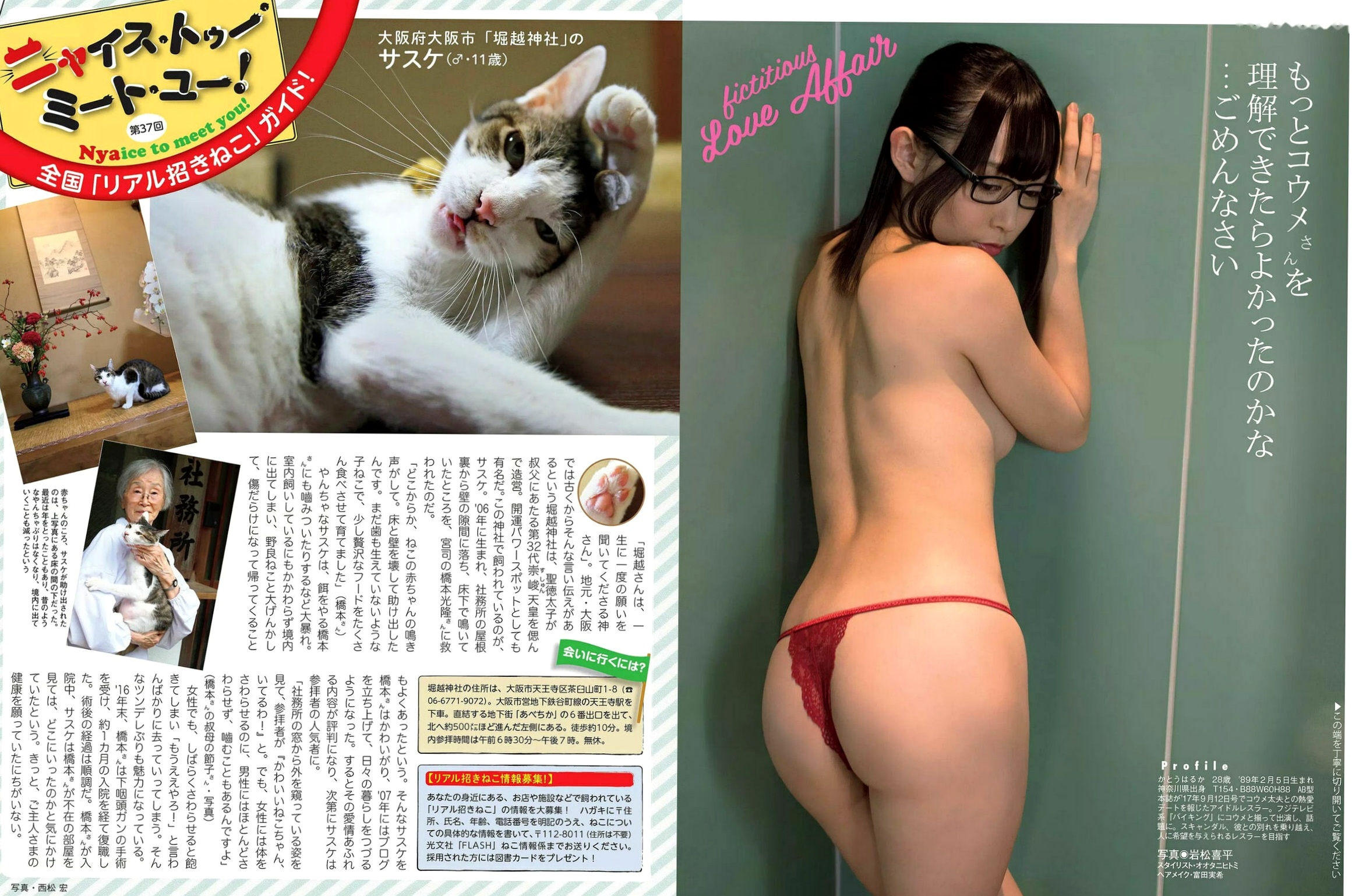 FLASH杂志写真:加藤绫子职场风采与清纯泳装特辑,汇集わちみなみ、堀口としみ等女神风尚