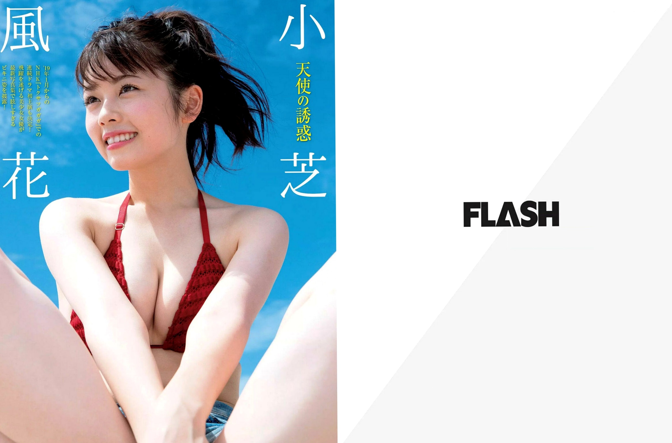 FLASH杂志写真_笕美和子 小芝风花 中丸シオン_2019元旦比基尼海滩与海洋馆私房视觉图集