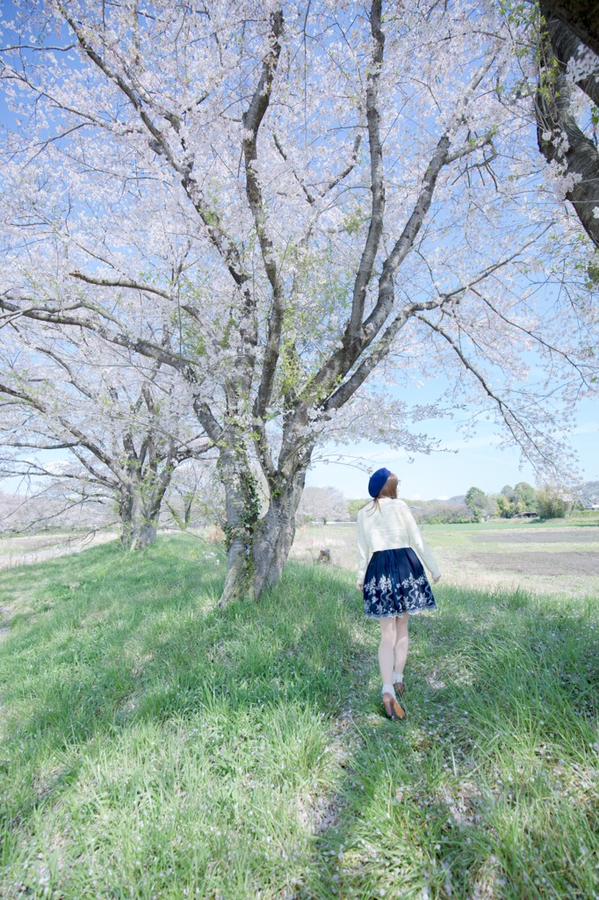 五木明(五木あきら) 极致可爱的Coser