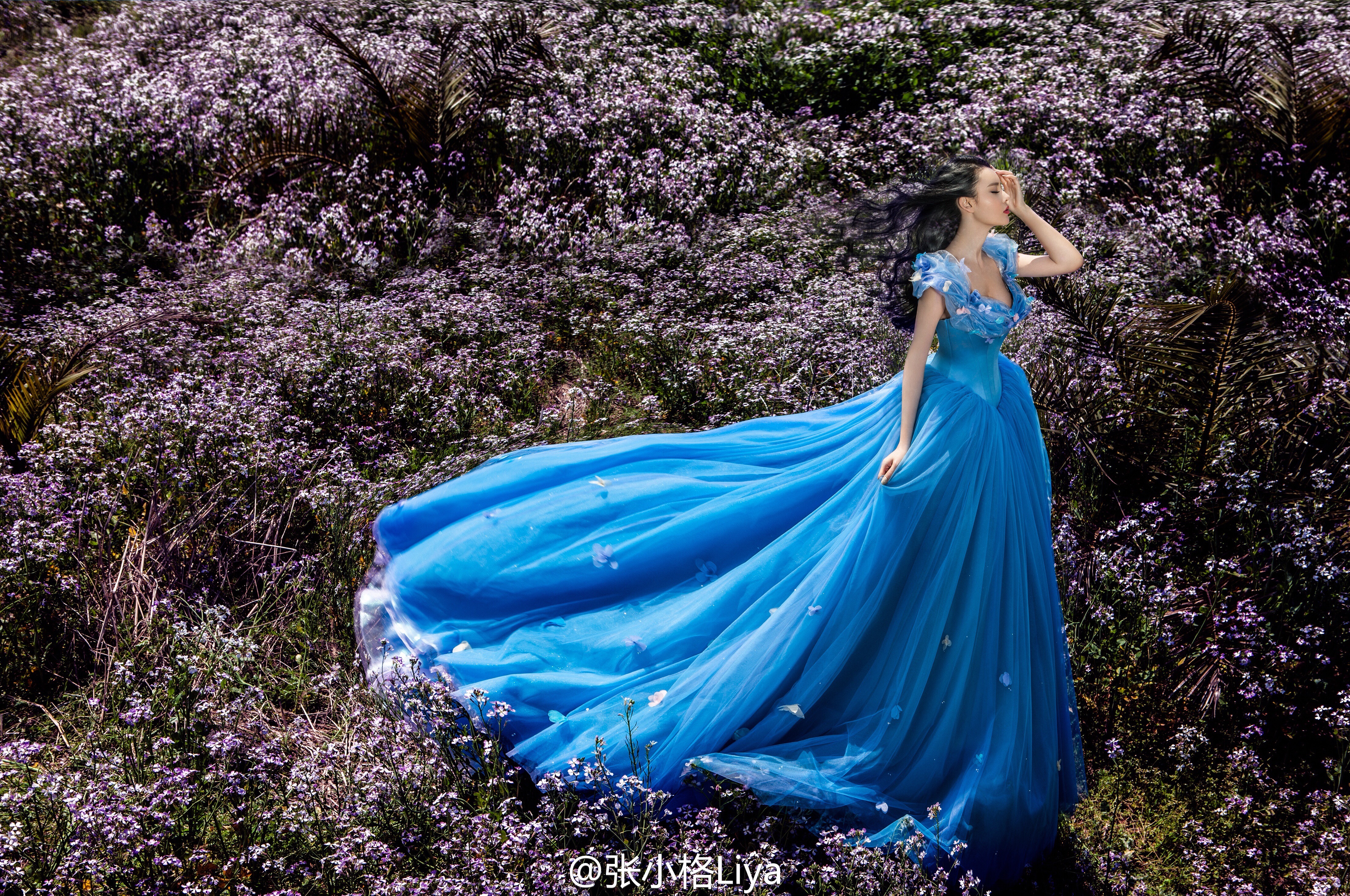 张小格Liya 唯美写真图片