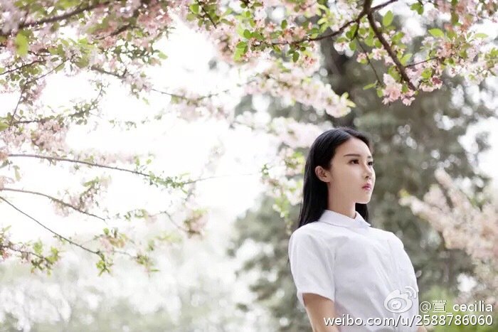 萱萱Cecilia 微博私房写真图
