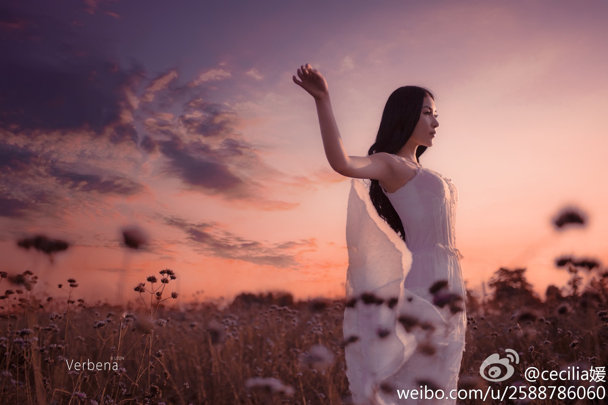 萱萱Cecilia 微博私房写真图