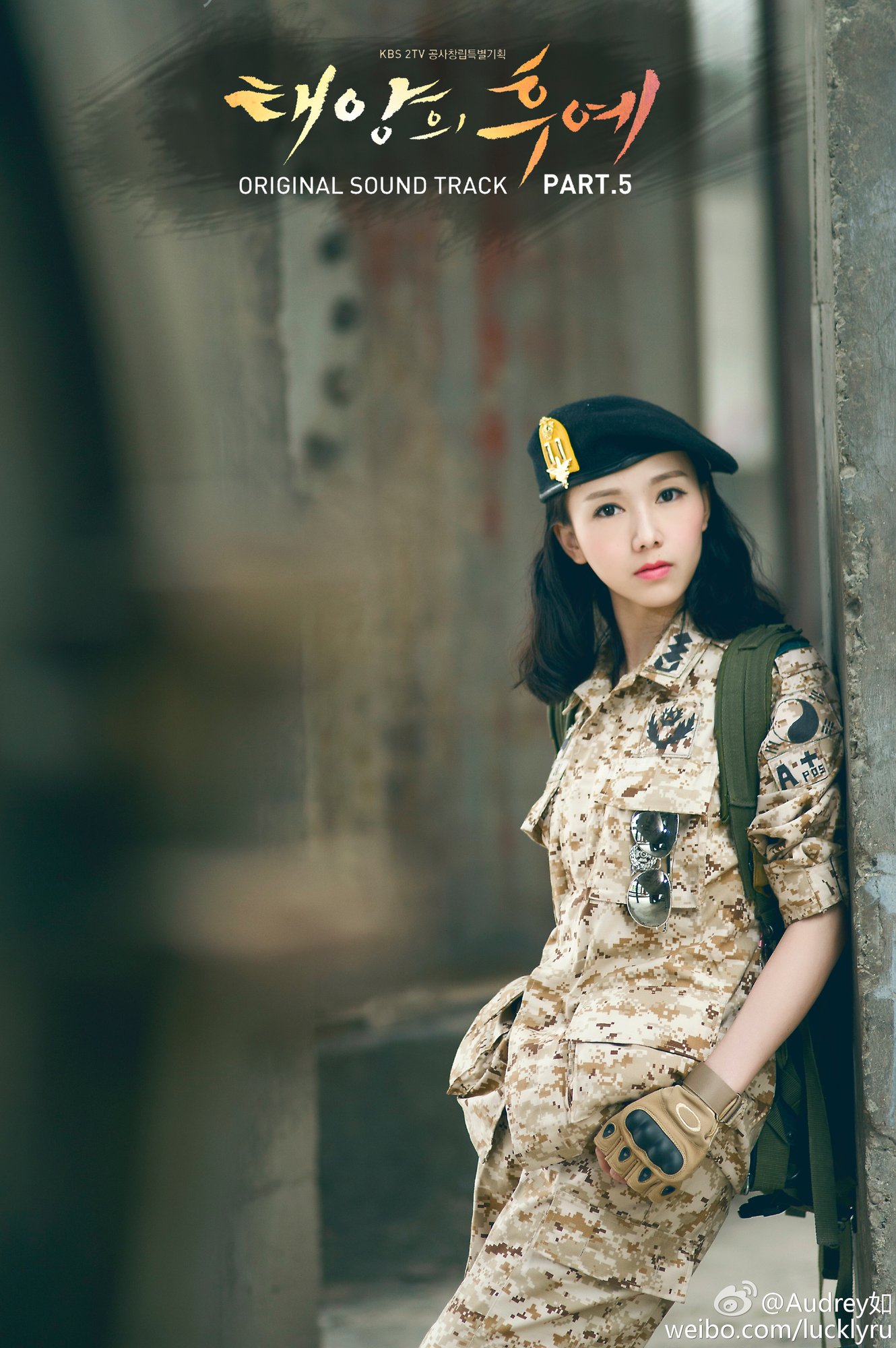 Audrey如 美女版《太阳的后裔》