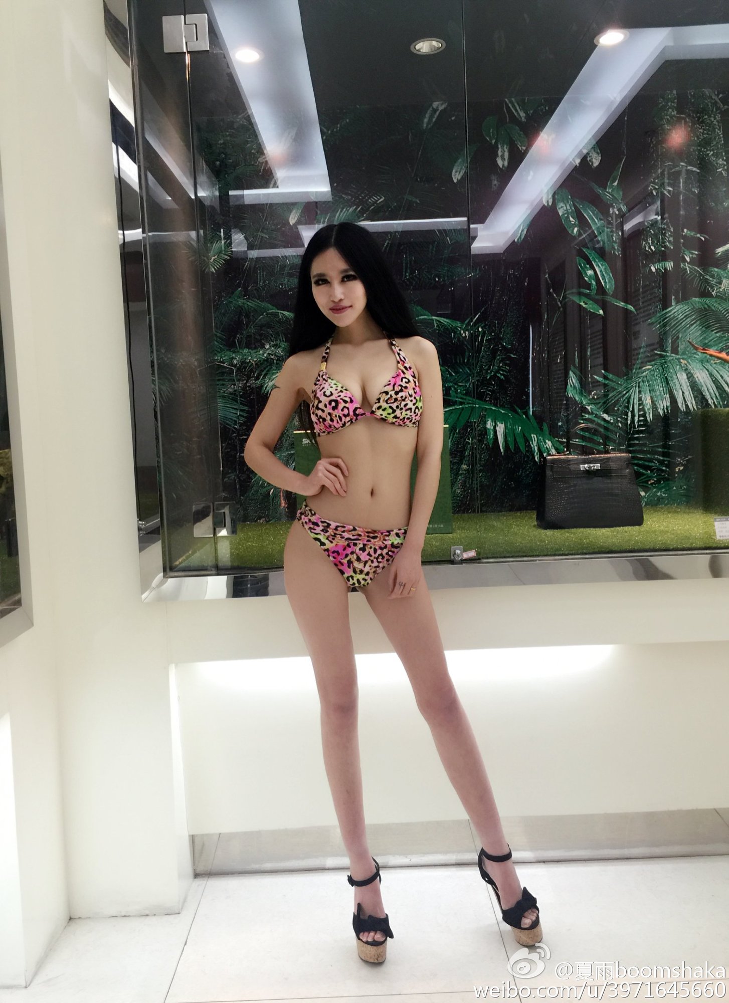夏冠昀 来自台湾的美人showgirl