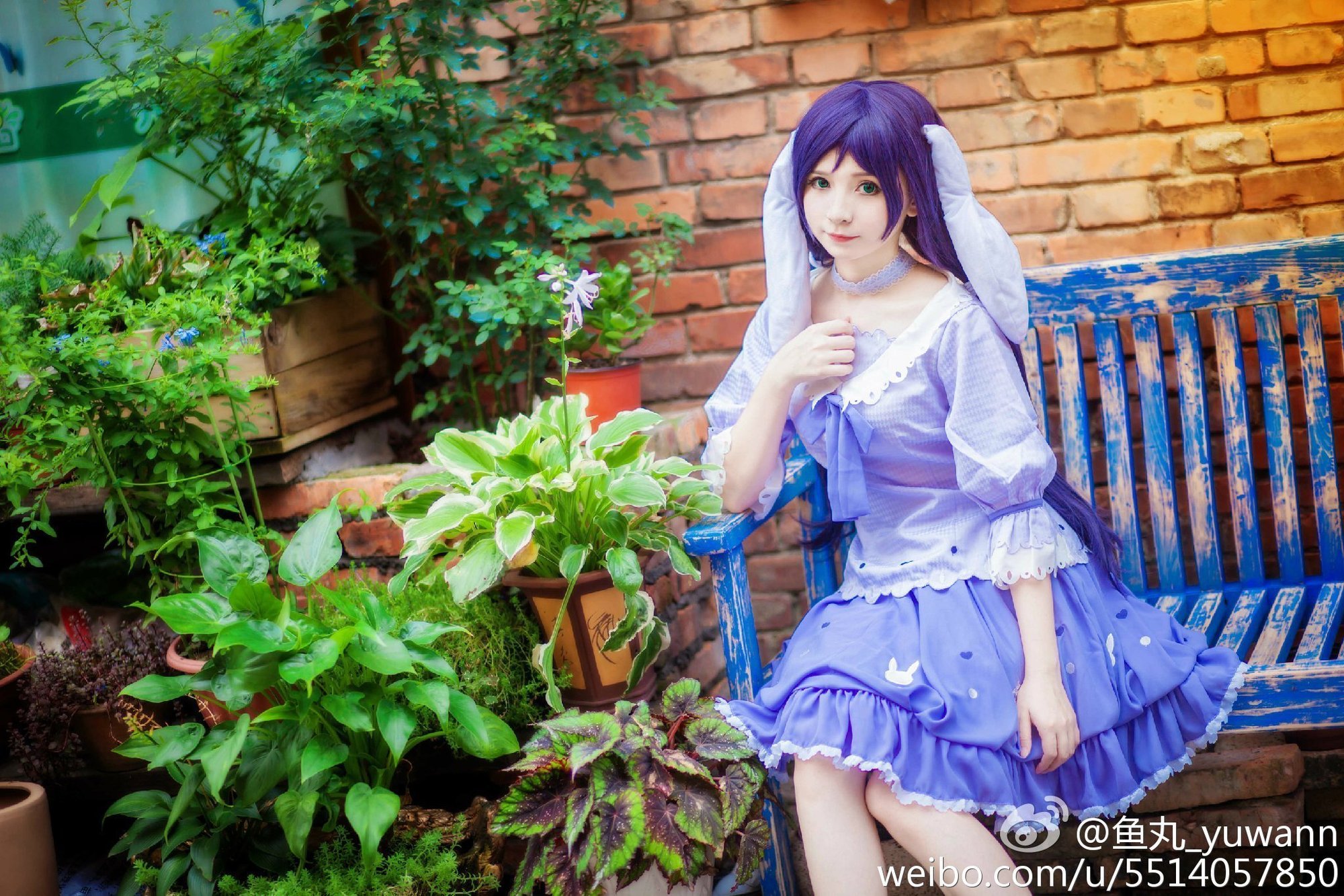 cn鱼丸(刘丽娜) 萌系女神Coser美图