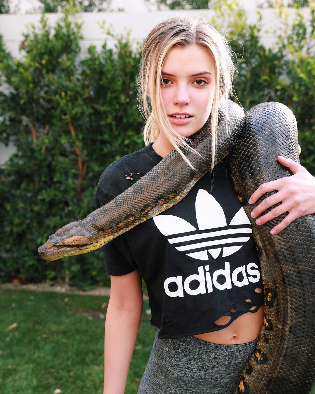 Alissa Violet 最火辣的美国搞笑艺人