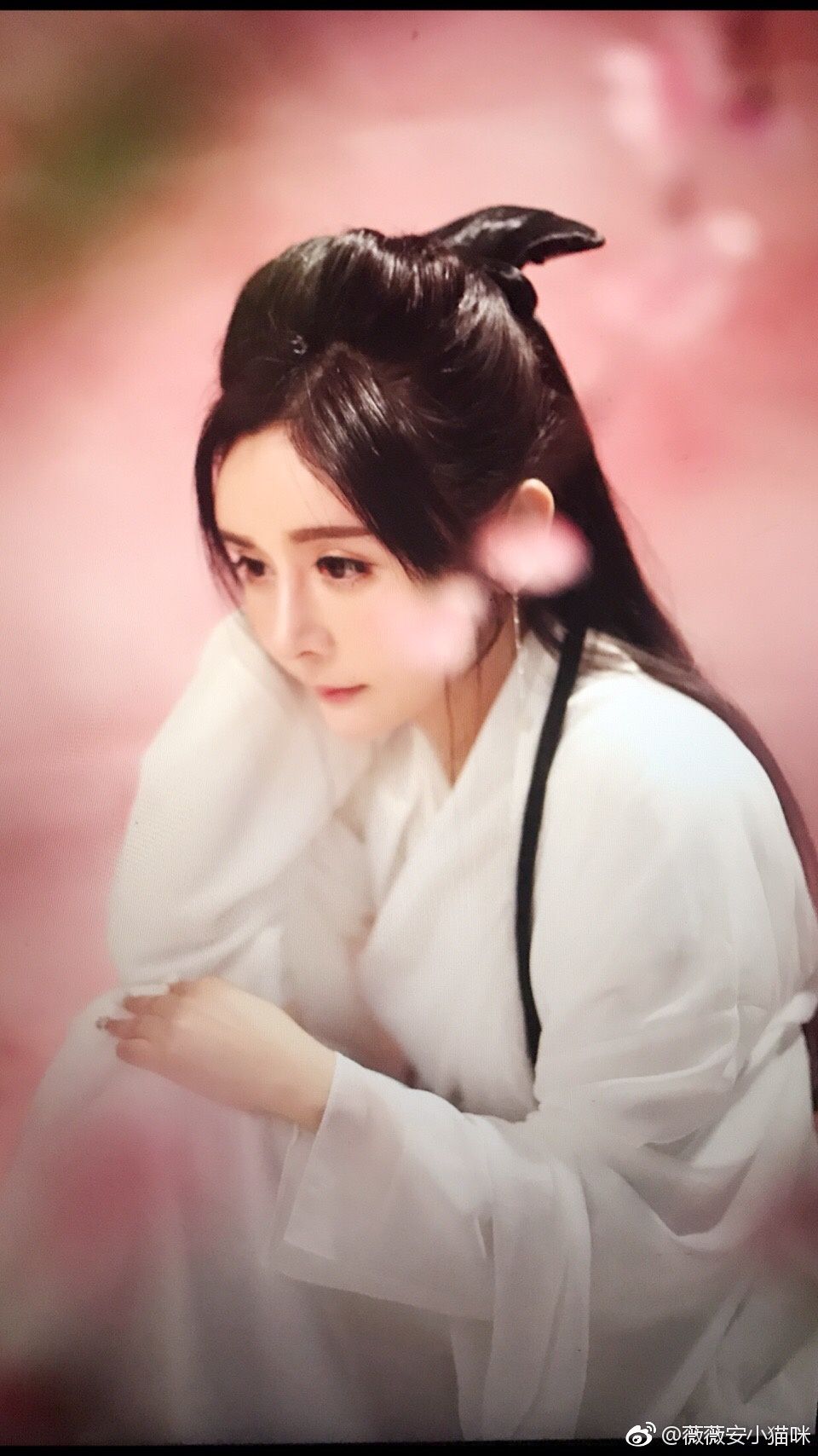 薇薇安小猫咪- 定制写真与私房照