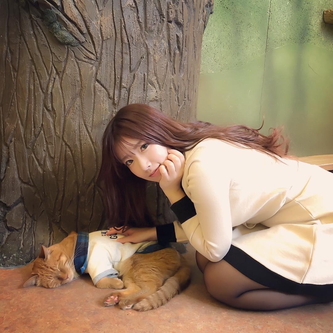 自带杯架 日本Cosplayer「Yutoriゆとり」