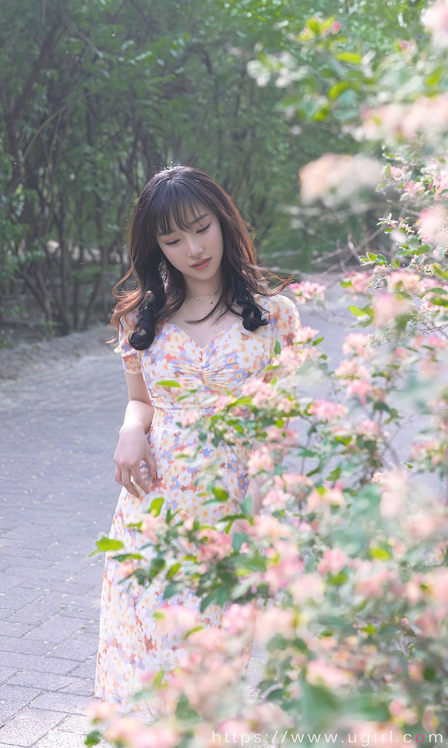 西门小玉花开荼蘼