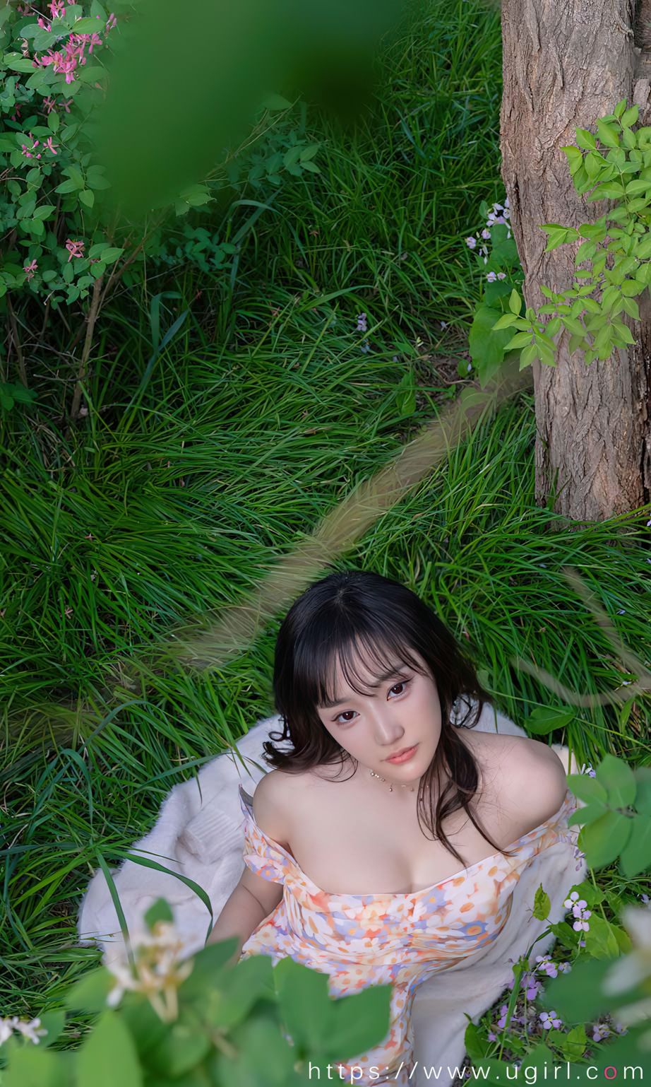 西门小玉花开荼蘼