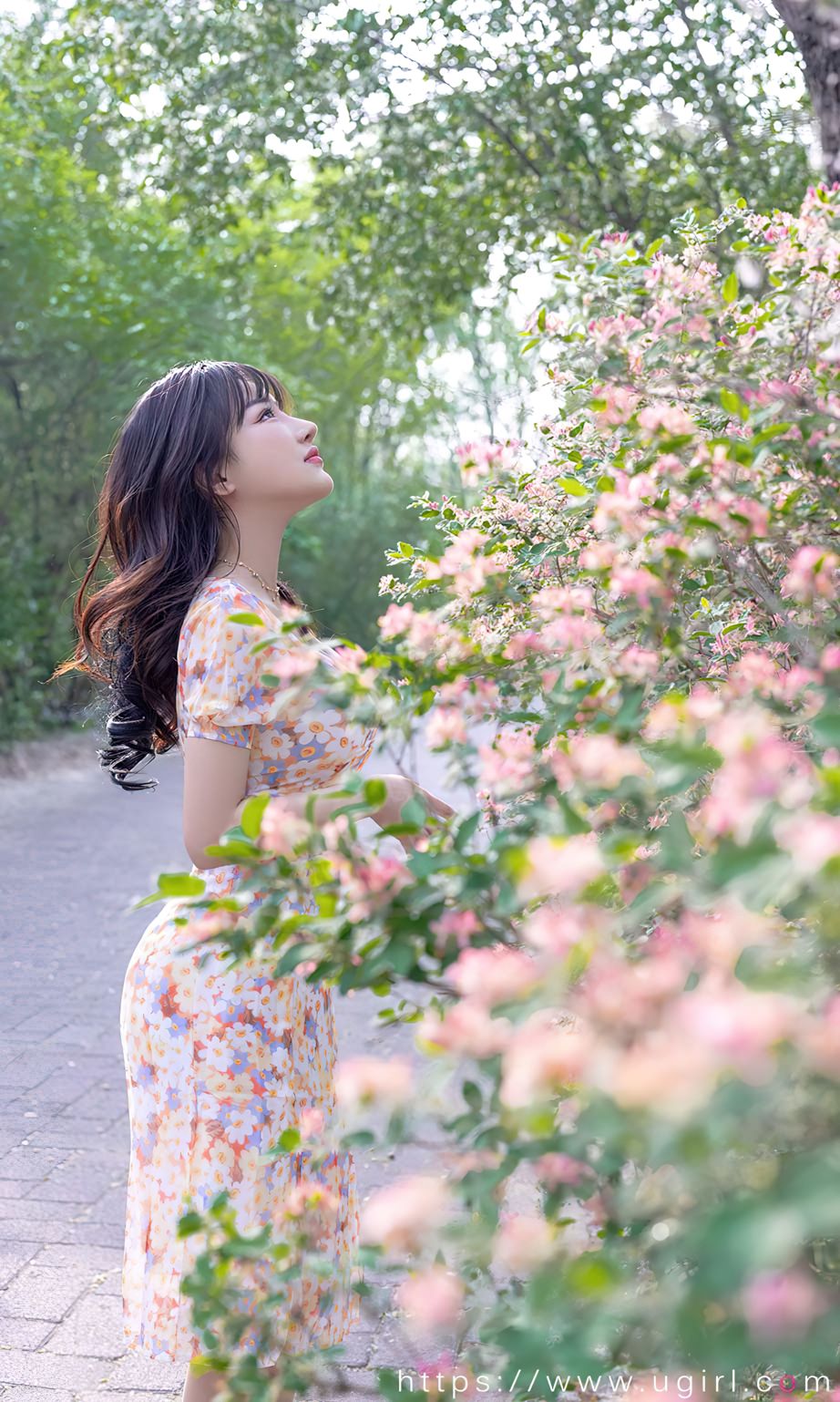 西门小玉花开荼蘼