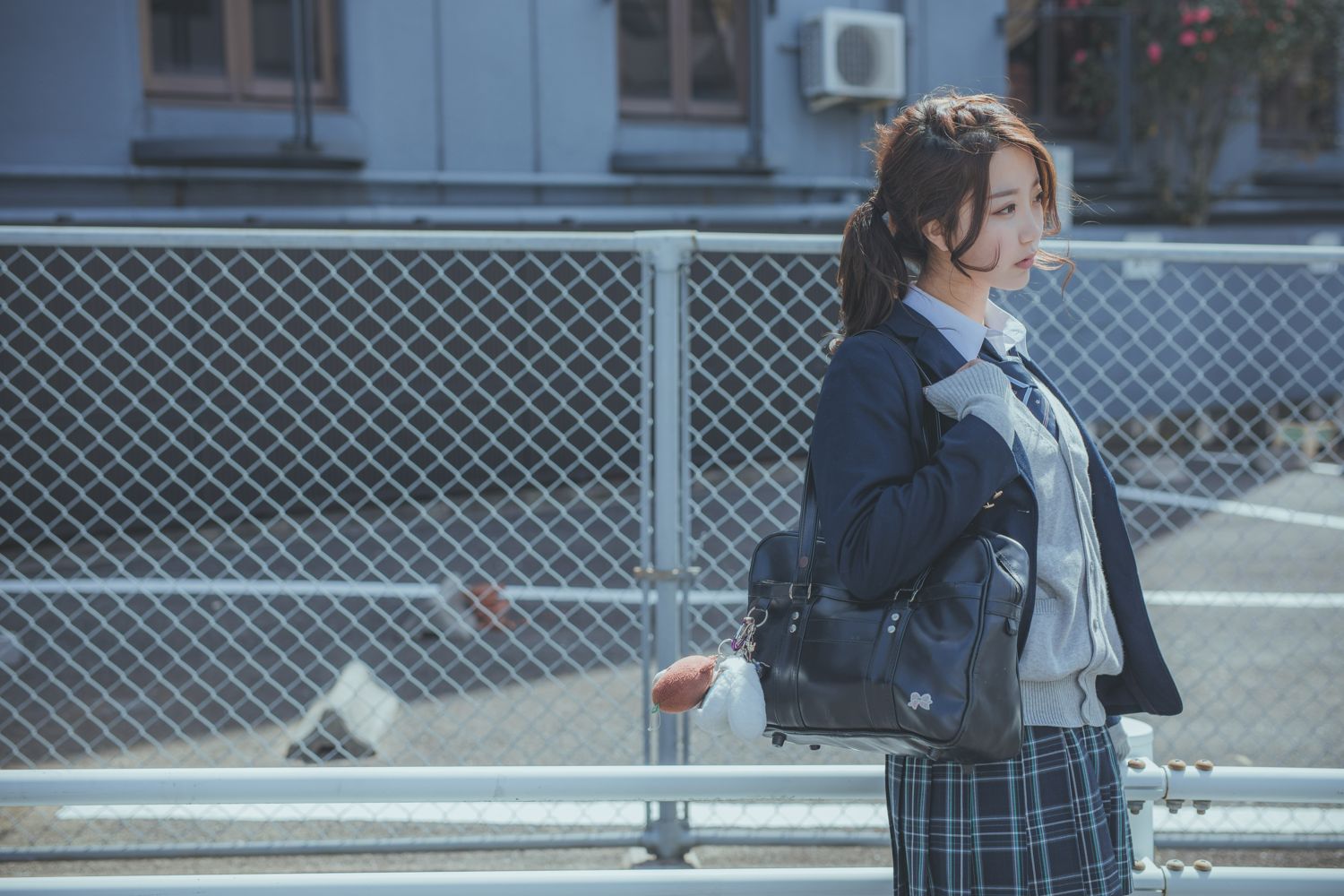 奈良の夏