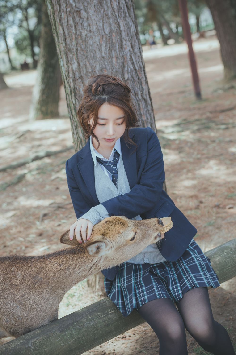 奈良の夏