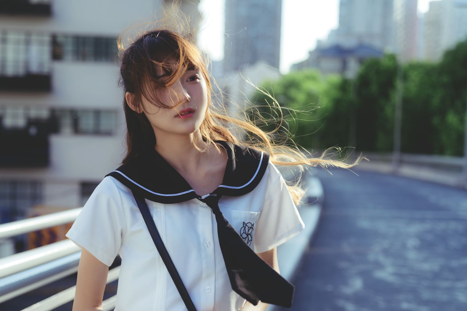 兔子Zzz不吃胡萝卜 - 约定的桥