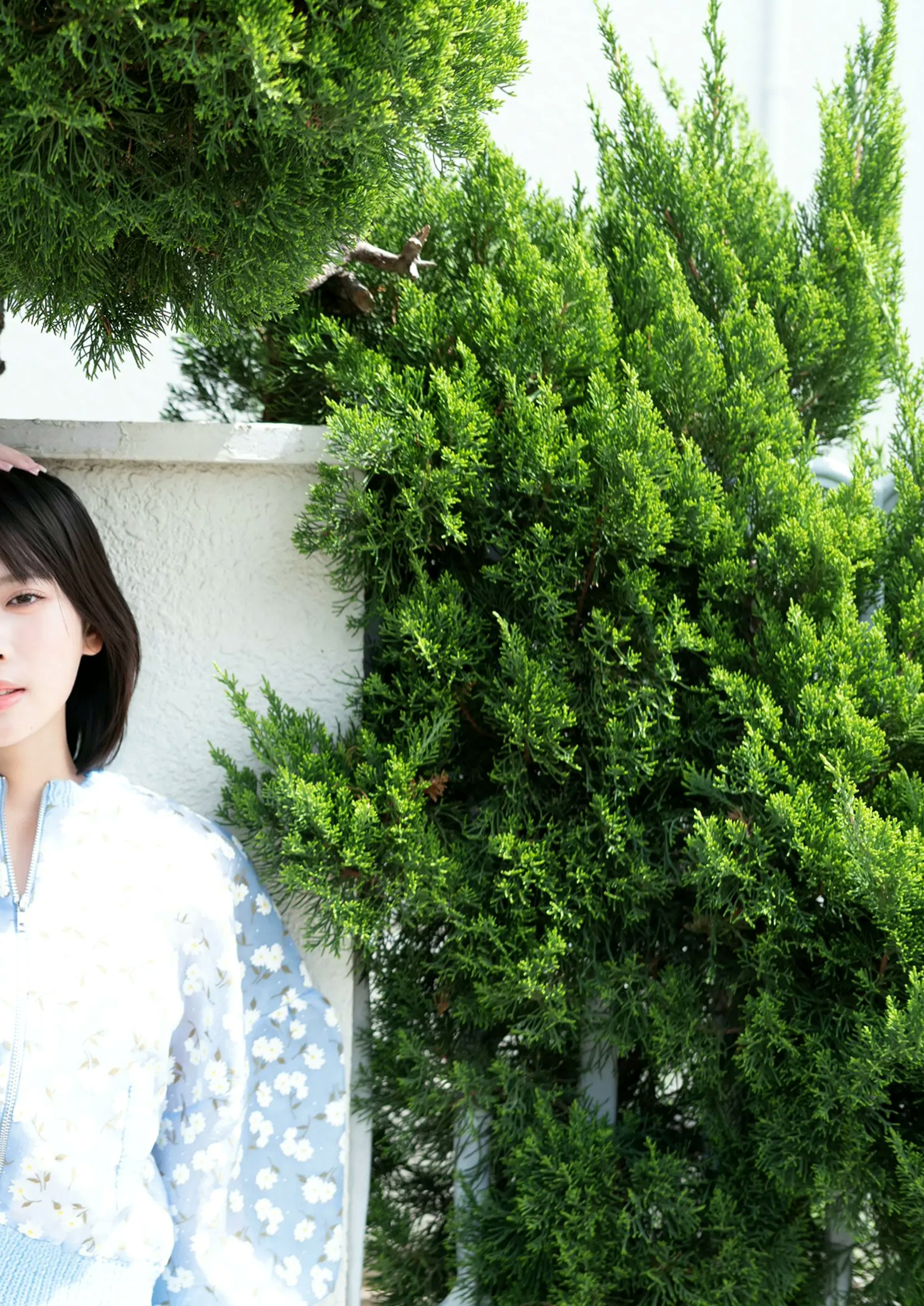 芳賀礼 - 天使らんまん！[85P] 日本美少女清新性感内衣泳池私房写真