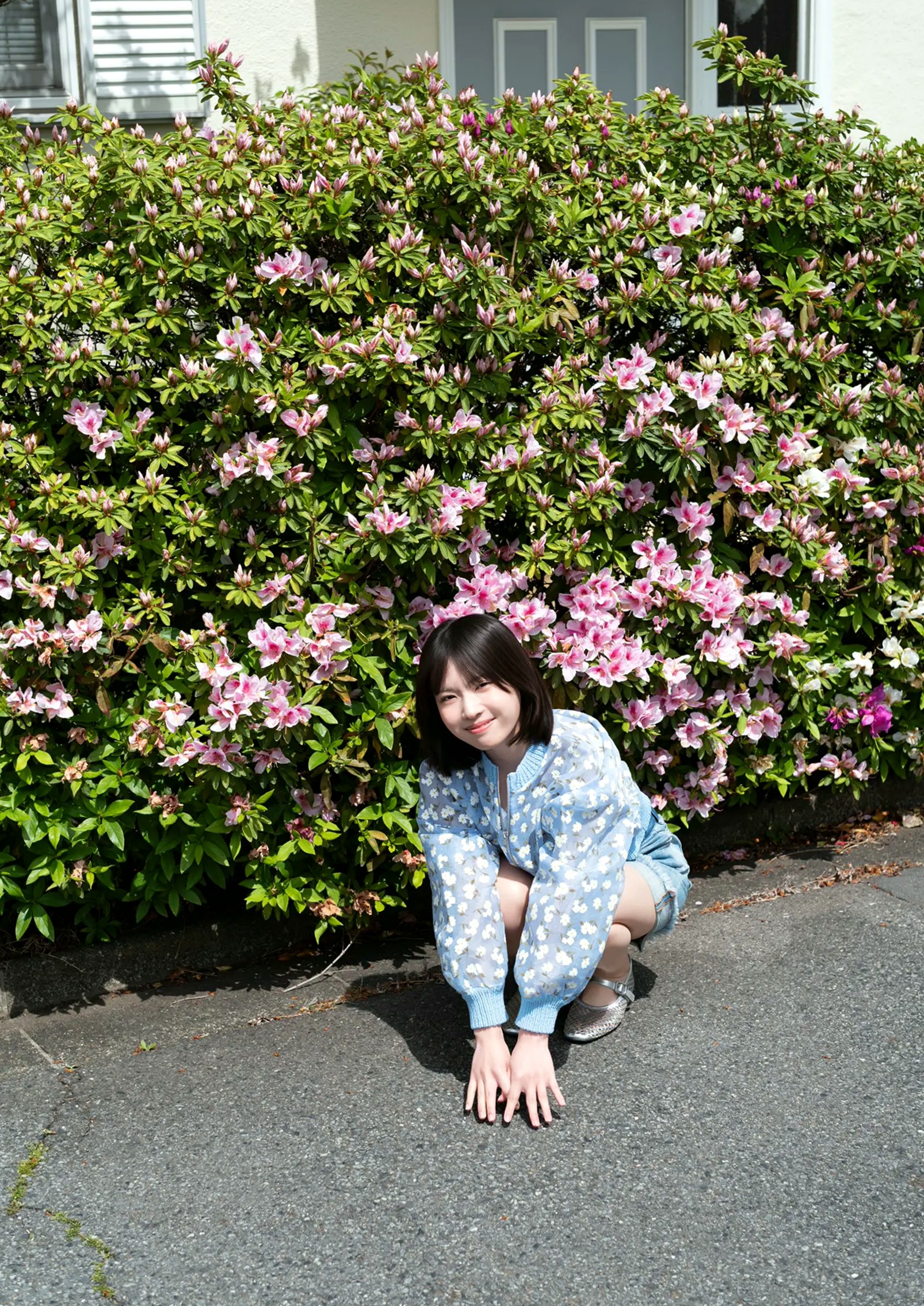 芳賀礼 - 天使らんまん！[85P] 日本美少女清新性感内衣泳池私房写真