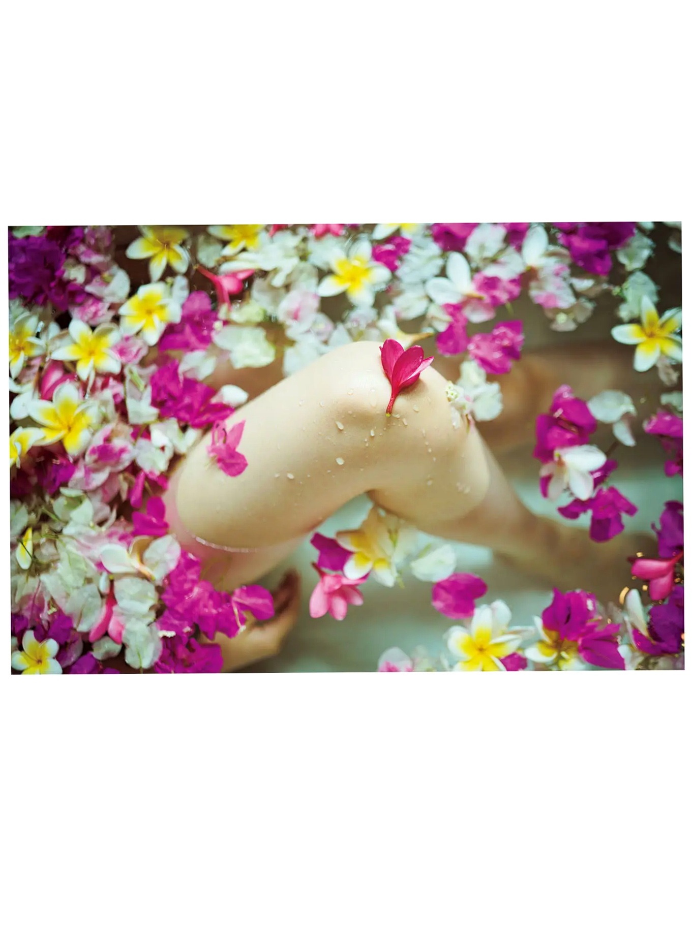 宮田愛萌 - Lilas写真集 [152P]：日本女神浴室湿身私房诱惑与清纯家居写真