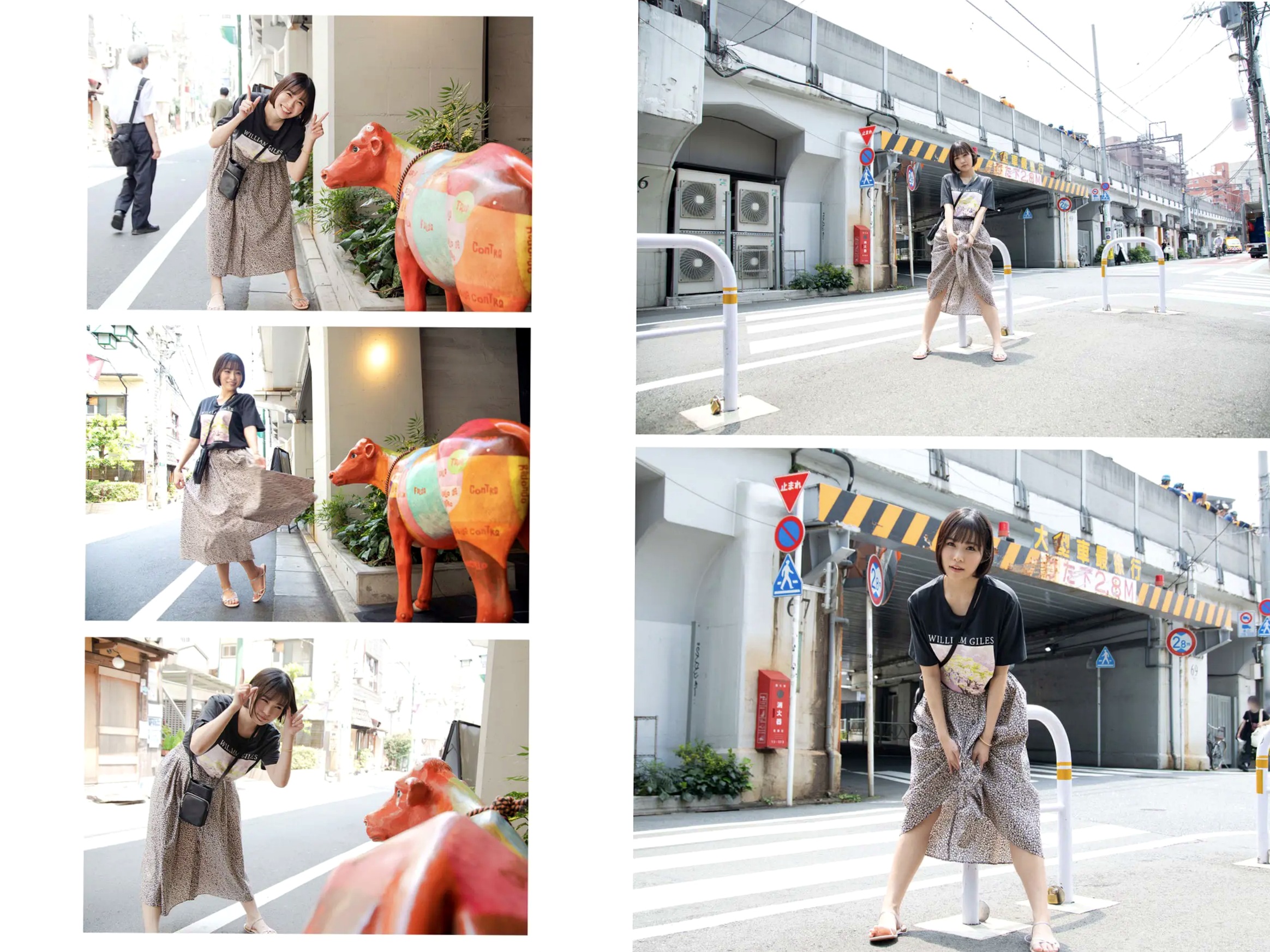 Gallery - 河合あすな - ak 〜君と一緒に〜 户外街拍清新治愈美图日本街拍户外清新治愈系 女神私房照_秀色女神 - image 3