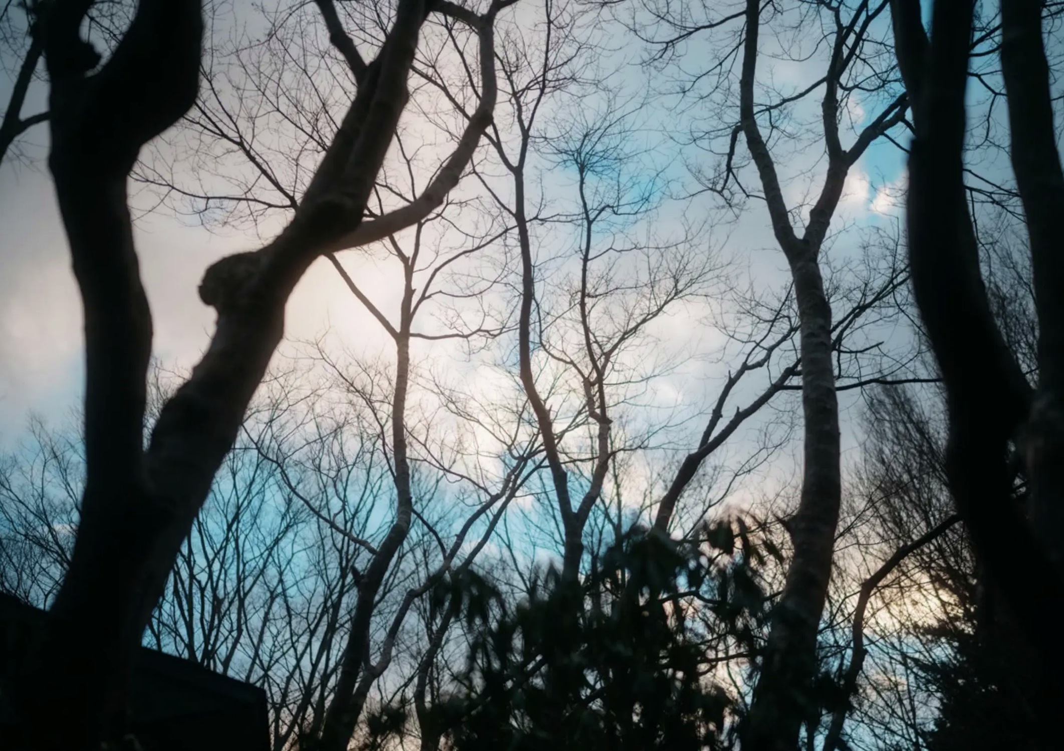 芽衣 - 芽ばえちゃう 浴室湿身性感内衣私房写真