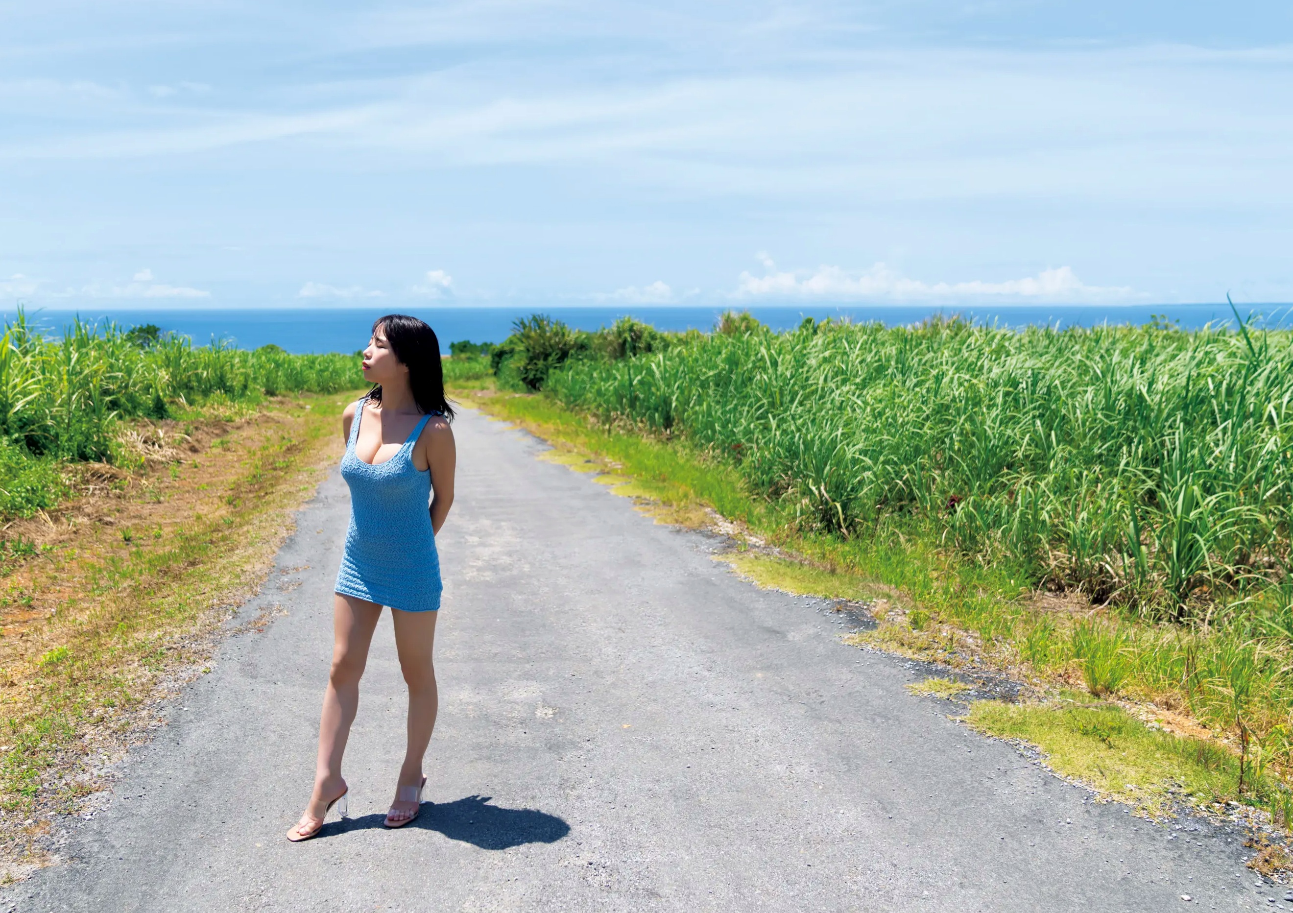 乙陽葵 - なんがでっきょん [108P] 户外向日葵性感比基尼写真 阳光清纯美胸图集