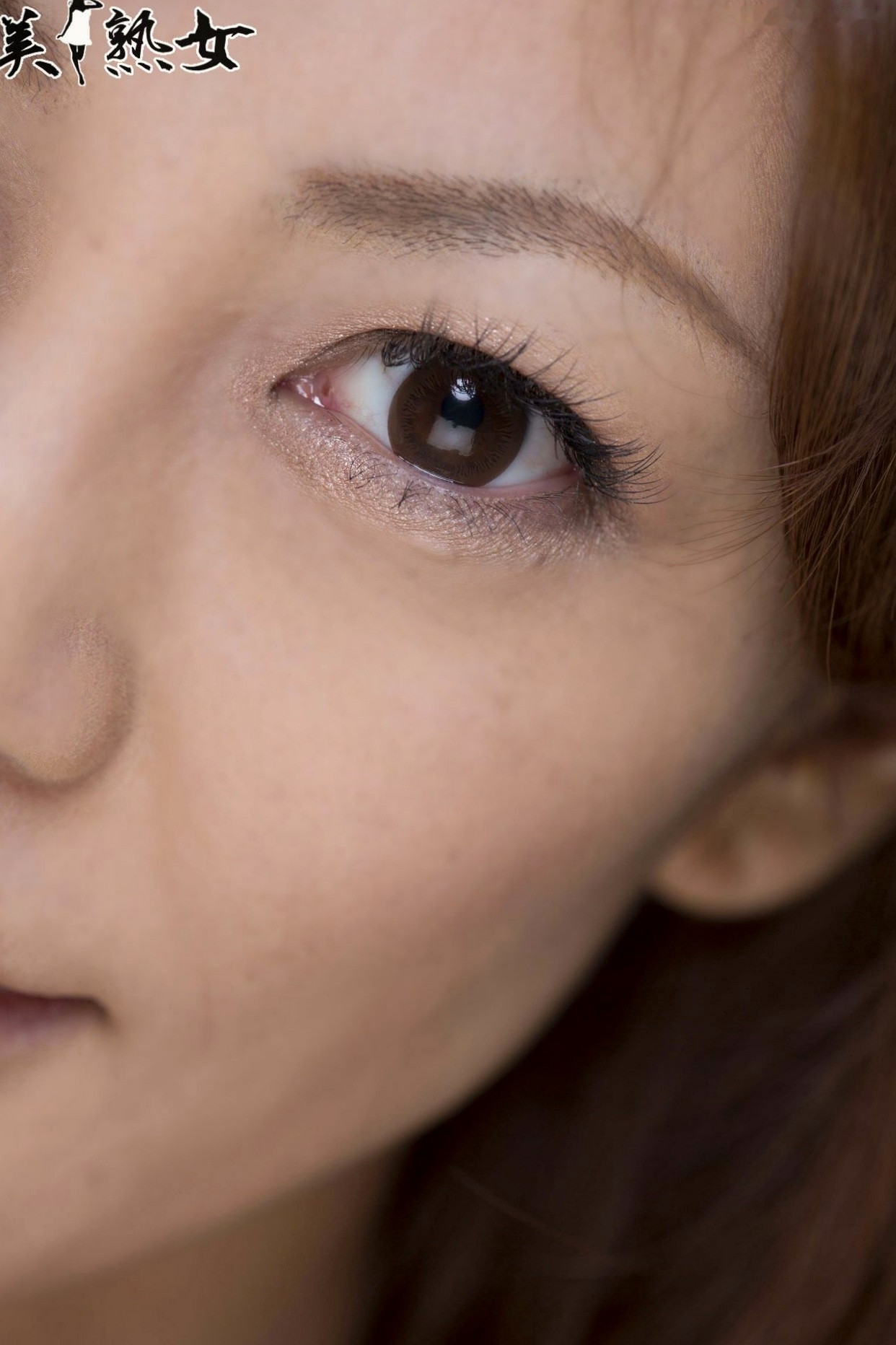 Gallery - 瞳理欧（瞳リョウ）优雅熟女写真，清雅知性气质风格，展现成熟女性迷人魅力大片气质日本御女郎 - Royal Lady 清新私房照 女神私房照_秀色女神 - image 71