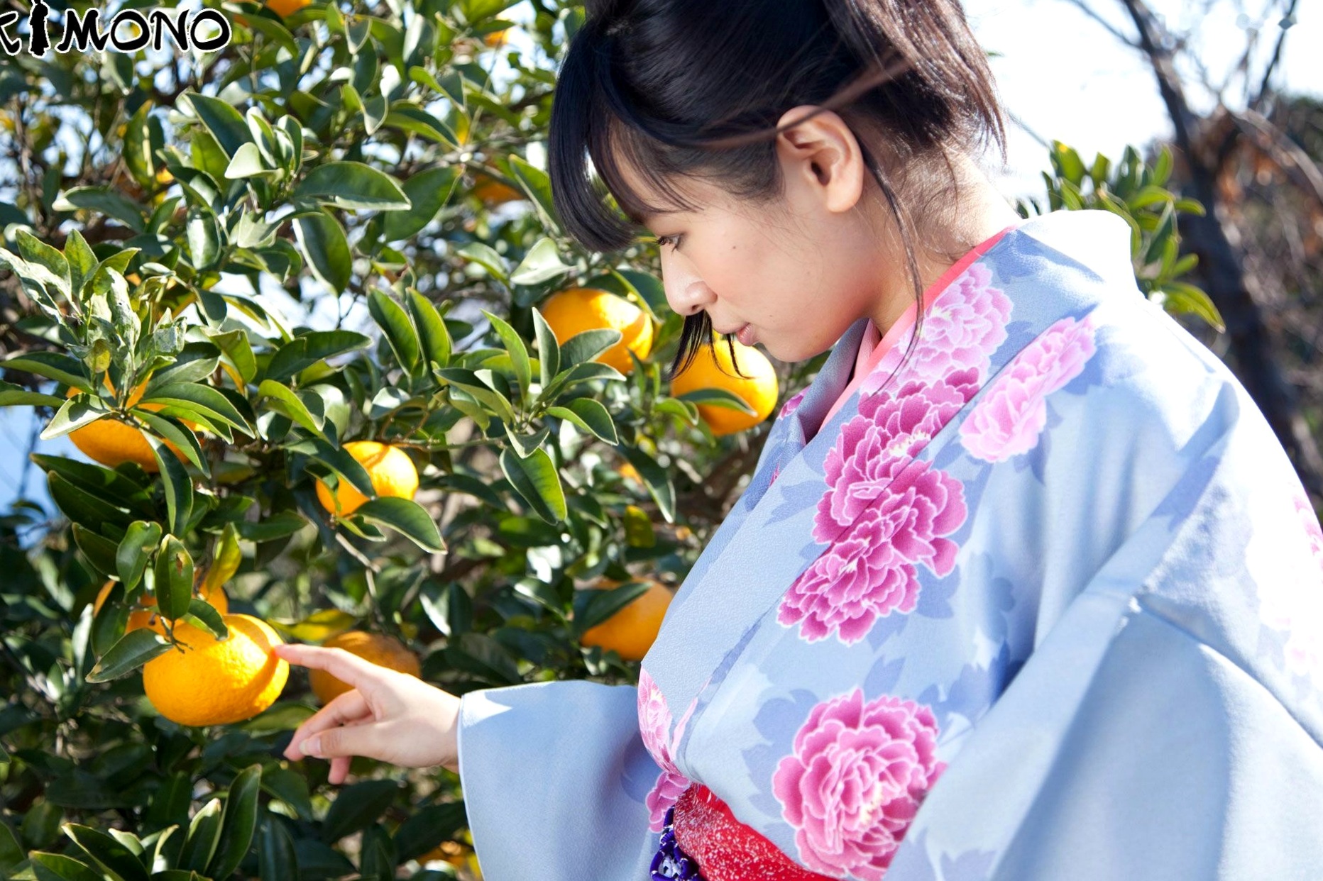Gallery - X-City_ 春菜はな Hana Haruna 写真集，传统和服与现代性感街拍，冷艳温婉双重气质展现极致魅力[65P]和服日本性感街拍气质 女神私房照_秀色女神 - image 7