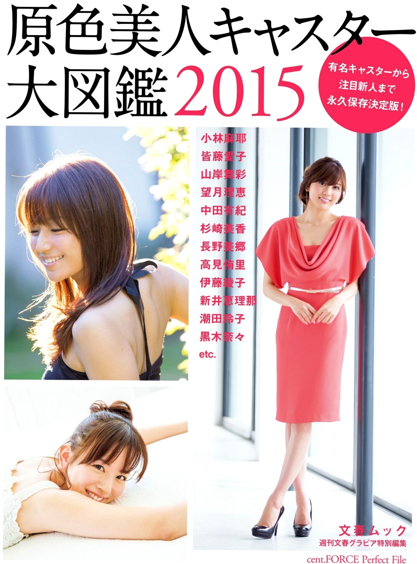 Gallery - PB写真集：原色美人キャスター大図鑑2015——皆藤愛子/小林麻耶/岡副麻希/美馬怜子，日本美女主播清新生活写真，气质职场女神精选特辑日本气质女神清新 女神私房照_秀色女神 - image 1