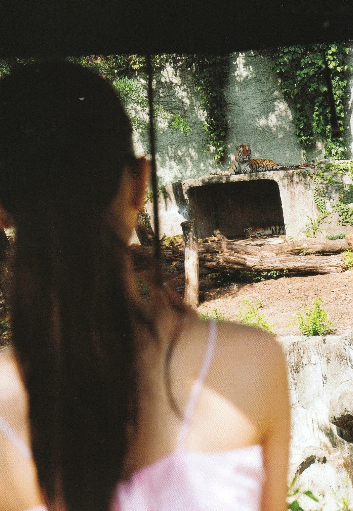 Gallery - 西野七濑《普段着》写真集：清纯少女海滩比基尼与文艺街拍，记录甜美治愈的日常瞬间清纯治愈系比基尼日本女神 女神私房照_秀色女神 - image 60