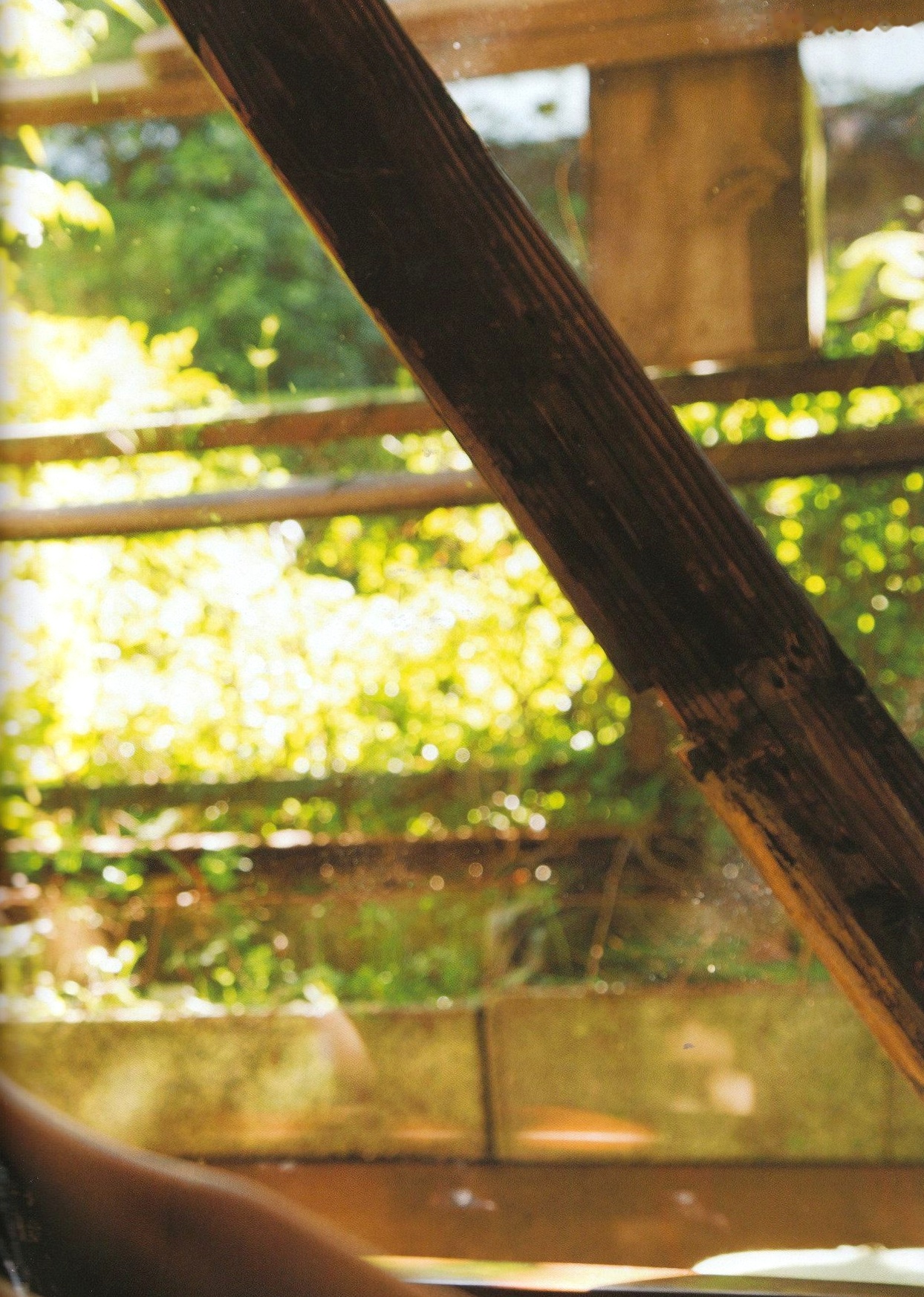 Gallery - 西野七濑《普段着》写真集：清纯少女海滩比基尼与文艺街拍，记录甜美治愈的日常瞬间清纯治愈系比基尼日本女神 女神私房照_秀色女神 - image 90