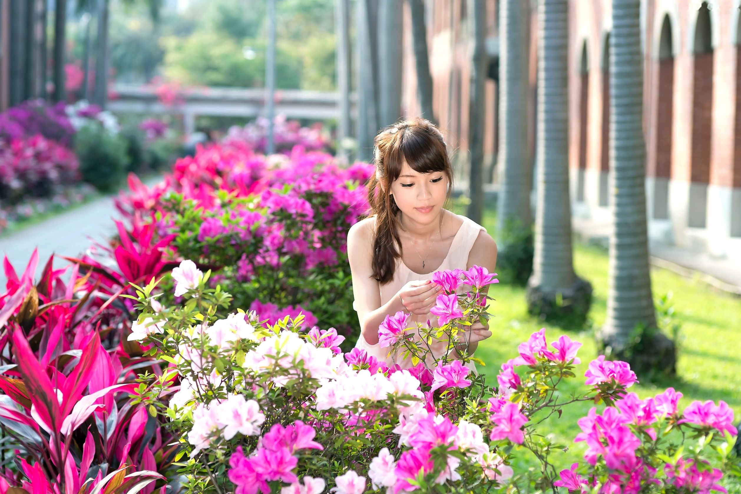 Gallery - 台湾模特 - modelAriel外拍写真：清新校服与简约私房，治愈系甜美女神梦幻展现台湾清纯校服街拍治愈系 女神私房照_秀色女神 - image 4