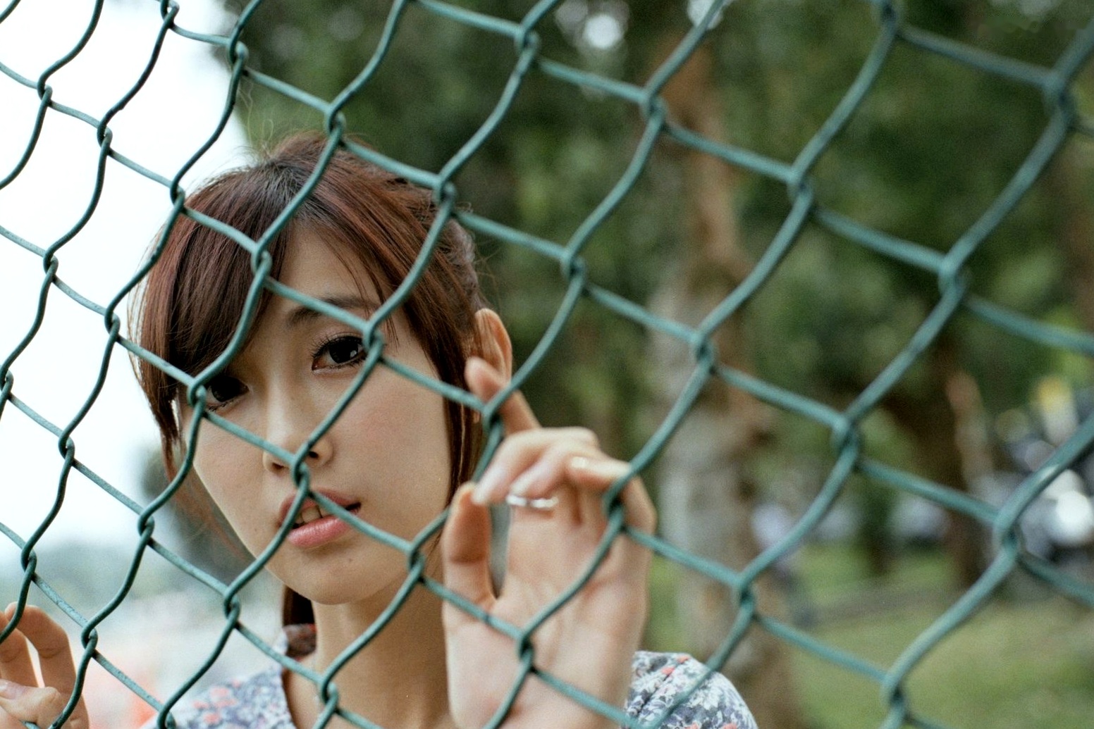 台湾正妹Kila晶晶/金允乔校园美拍：清新纯美针织衫户外写真系列图片
