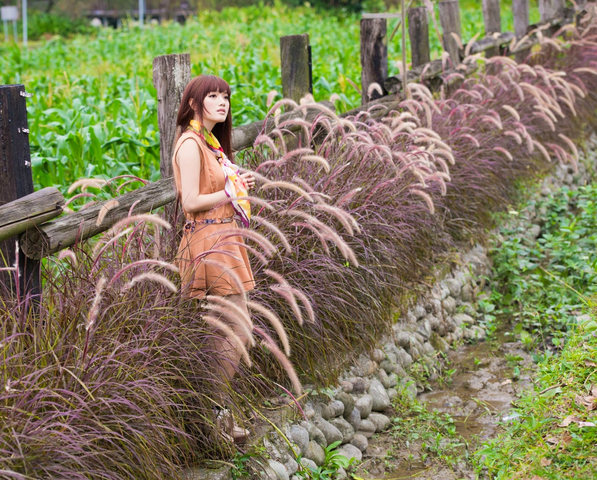 Gallery - 台湾模特 - model林岗怡Didy小清新写真合集，森林系少女户外唯美连衣裙穿搭，治愈系气质女神街拍特辑台湾清新气质户外女神 女神私房照_秀色女神 - image 1