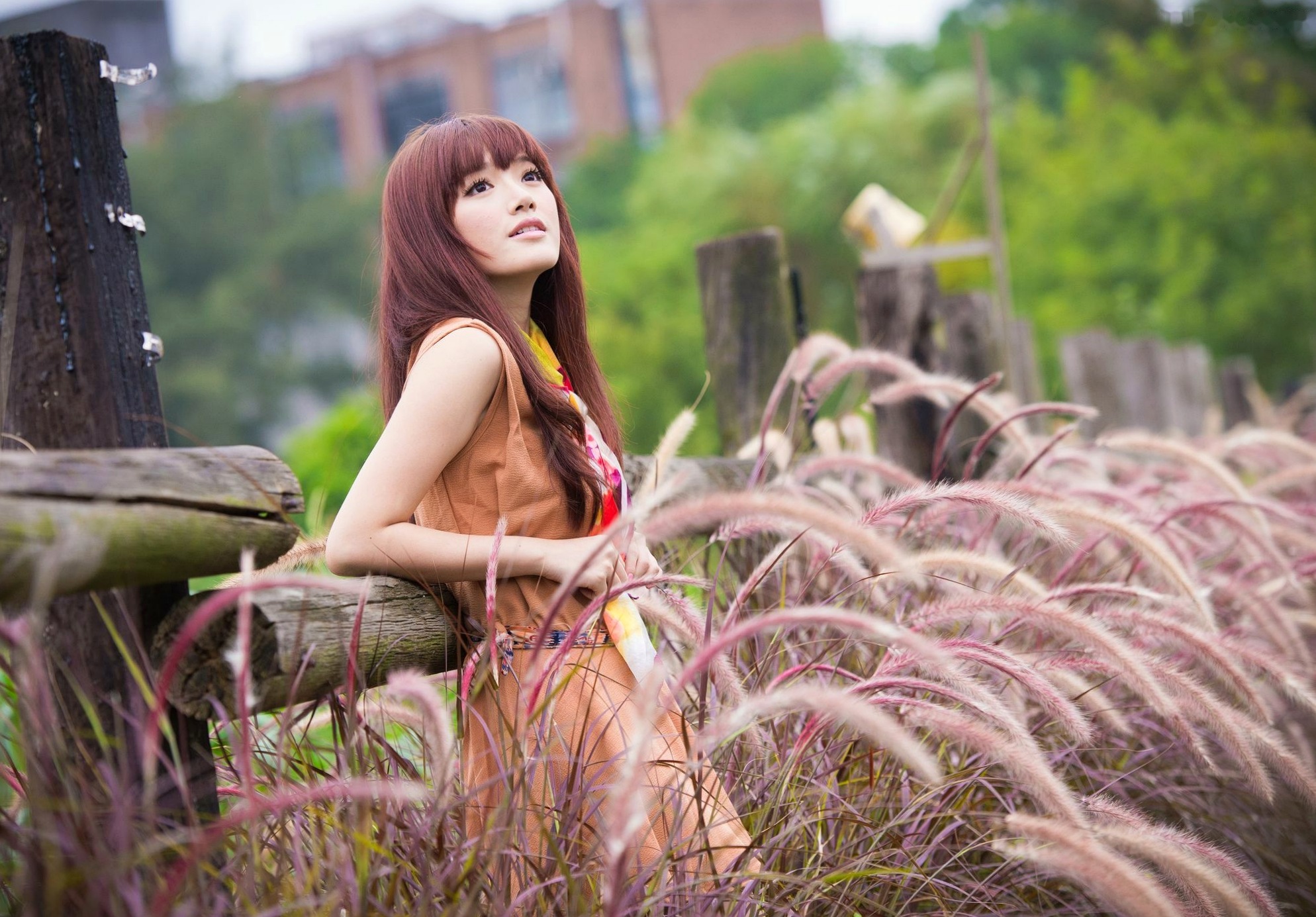 Gallery - 台湾模特 - model林岗怡Didy小清新写真合集，森林系少女户外唯美连衣裙穿搭，治愈系气质女神街拍特辑台湾清新气质户外女神 女神私房照_秀色女神 - image 4
