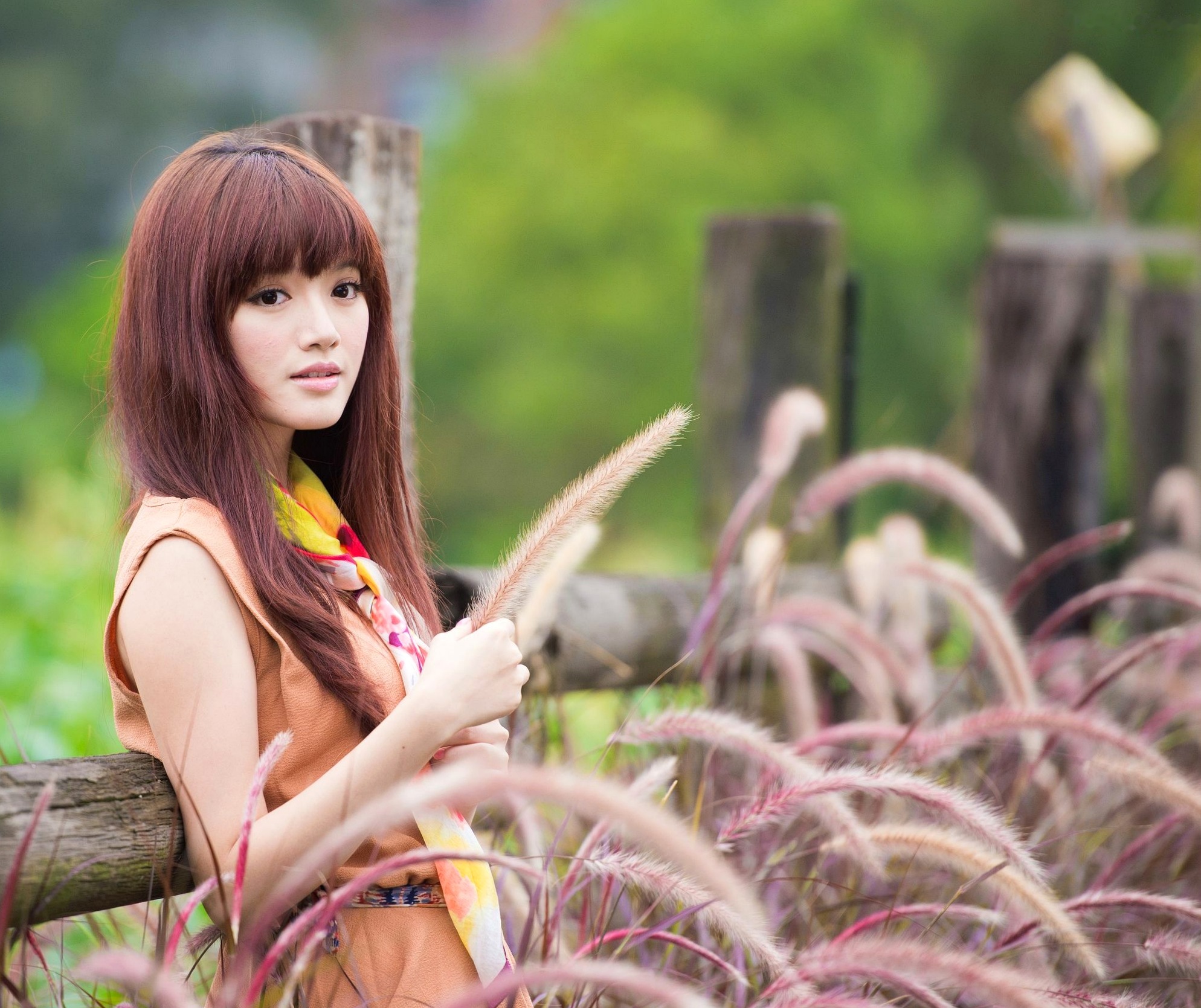 Gallery - 台湾模特 - model林岗怡Didy小清新写真合集，森林系少女户外唯美连衣裙穿搭，治愈系气质女神街拍特辑台湾清新气质户外女神 女神私房照_秀色女神 - image 6