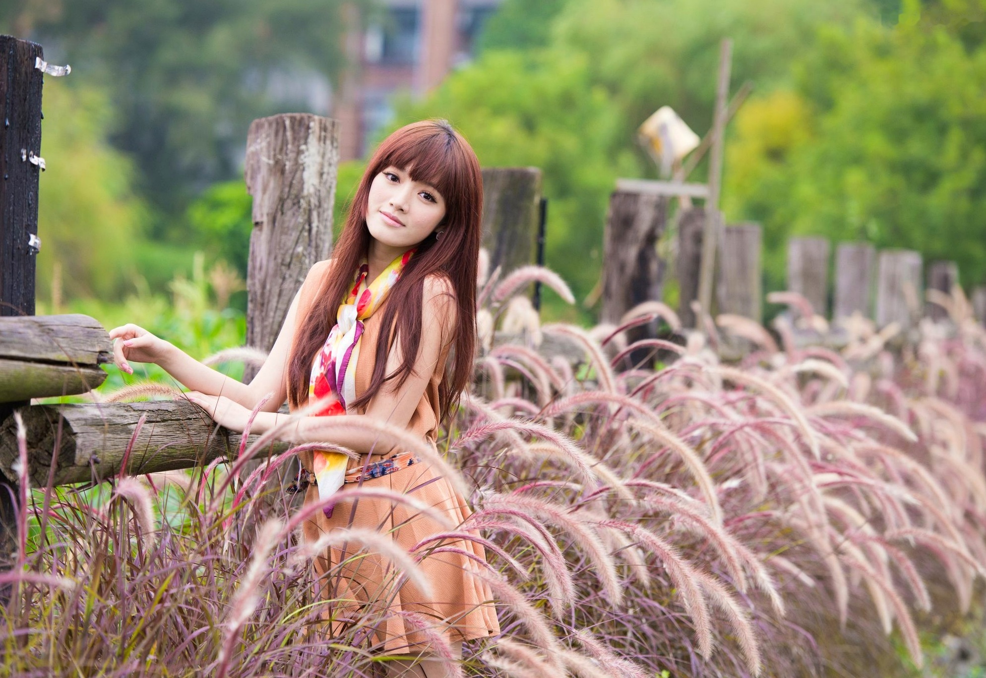 Gallery - 台湾模特 - model林岗怡Didy小清新写真合集，森林系少女户外唯美连衣裙穿搭，治愈系气质女神街拍特辑台湾清新气质户外女神 女神私房照_秀色女神 - image 7