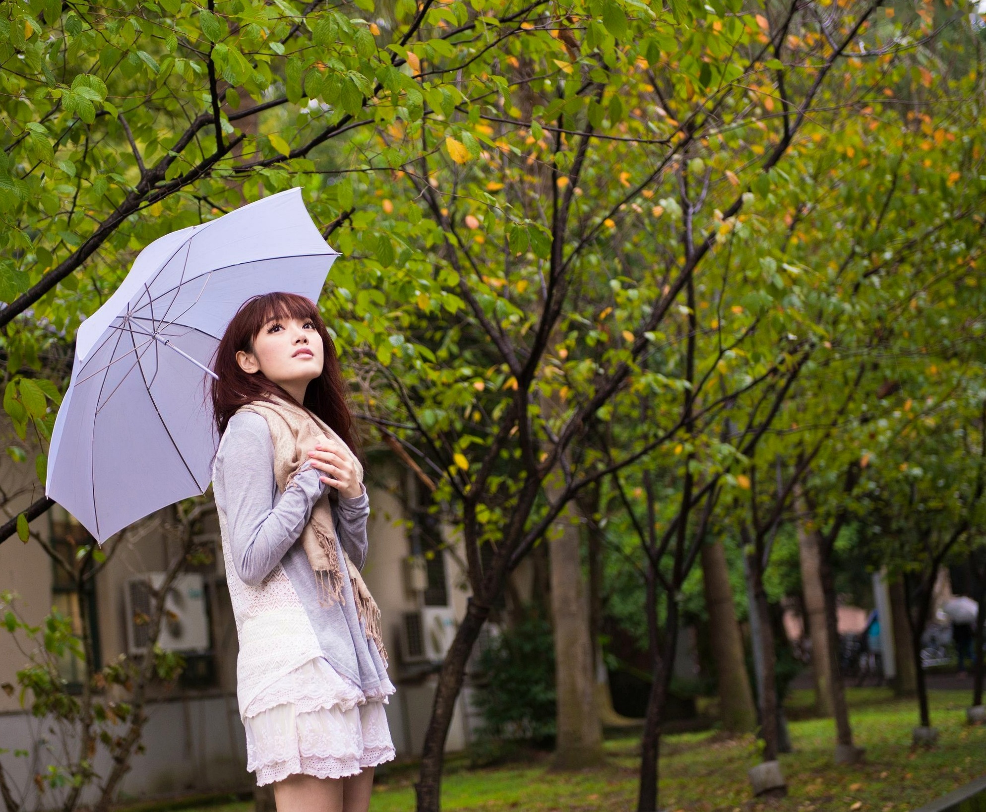 Gallery - 台湾模特 - model林岗怡Didy小清新写真合集，森林系少女户外唯美连衣裙穿搭，治愈系气质女神街拍特辑台湾清新气质户外女神 女神私房照_秀色女神 - image 26