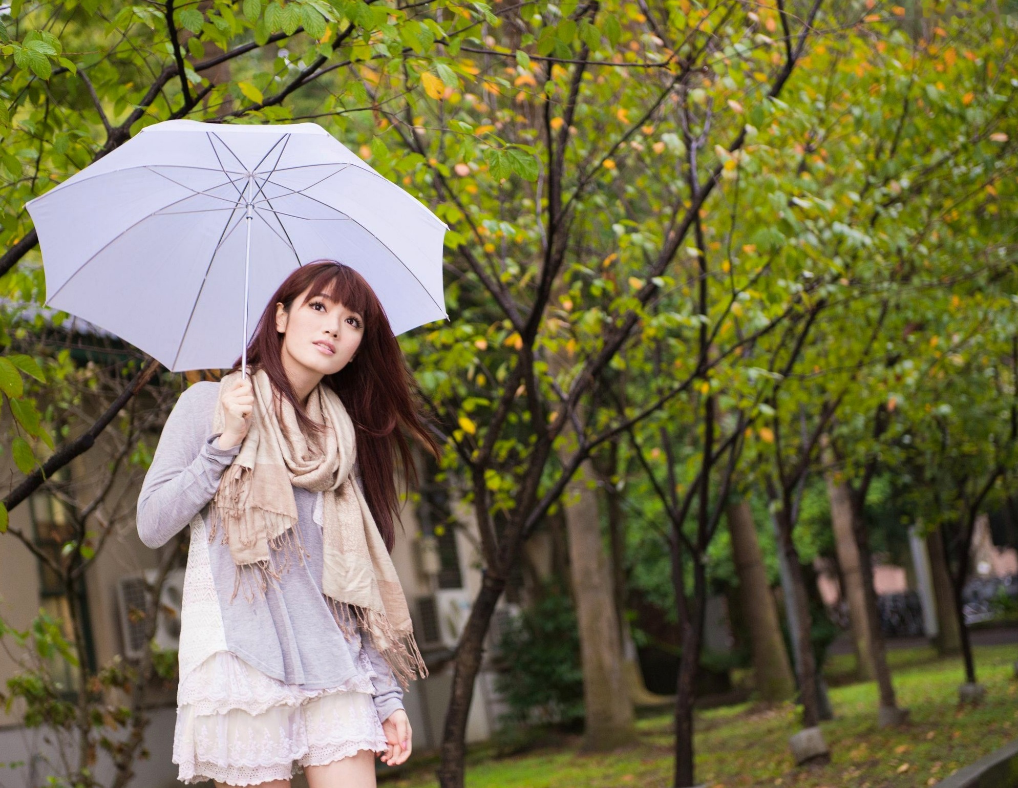 Gallery - 台湾模特 - model林岗怡Didy小清新写真合集，森林系少女户外唯美连衣裙穿搭，治愈系气质女神街拍特辑台湾清新气质户外女神 女神私房照_秀色女神 - image 28