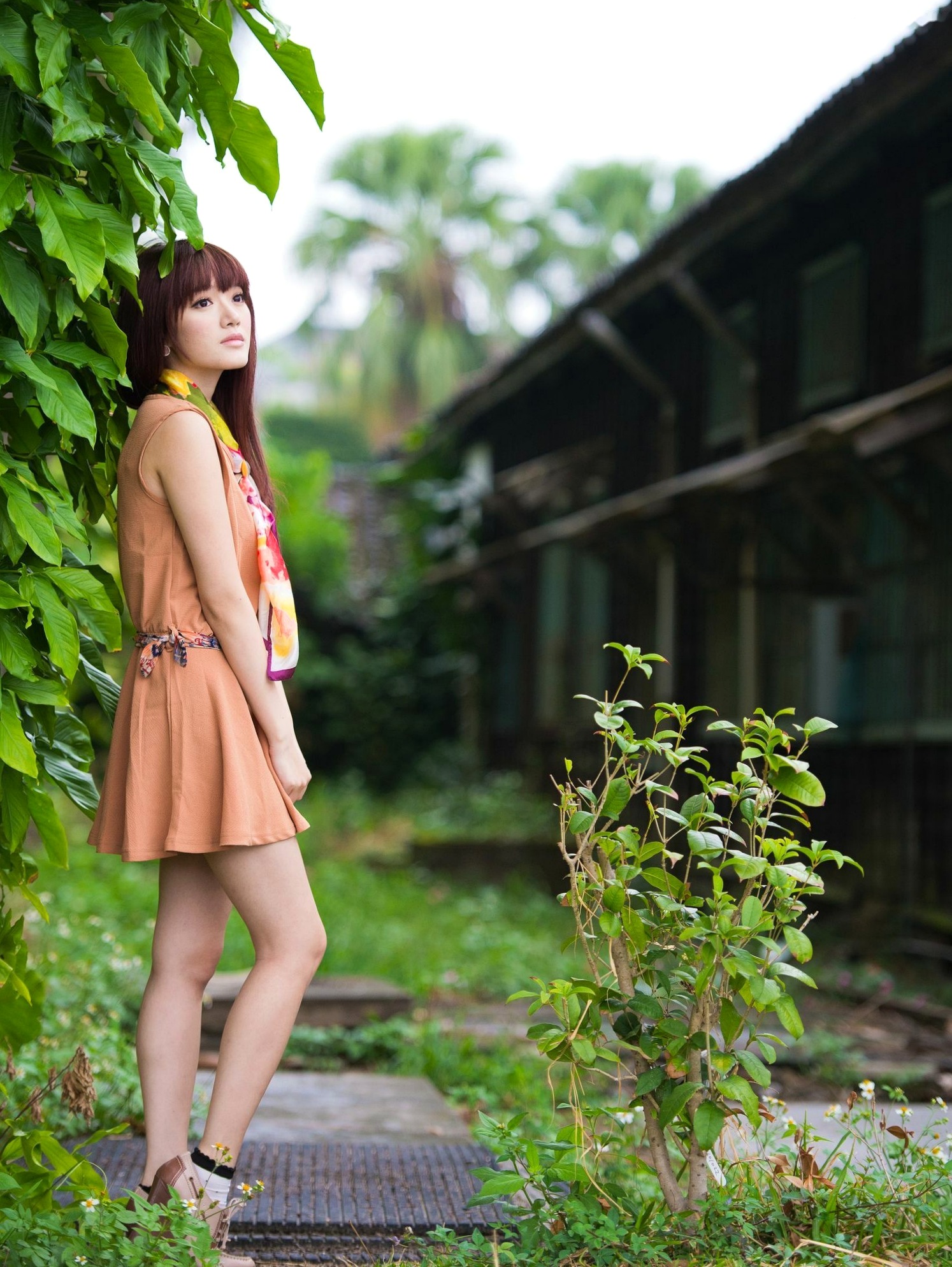 Gallery - 台湾模特 - model林岗怡Didy小清新写真合集，森林系少女户外唯美连衣裙穿搭，治愈系气质女神街拍特辑台湾清新气质户外女神 女神私房照_秀色女神 - image 50