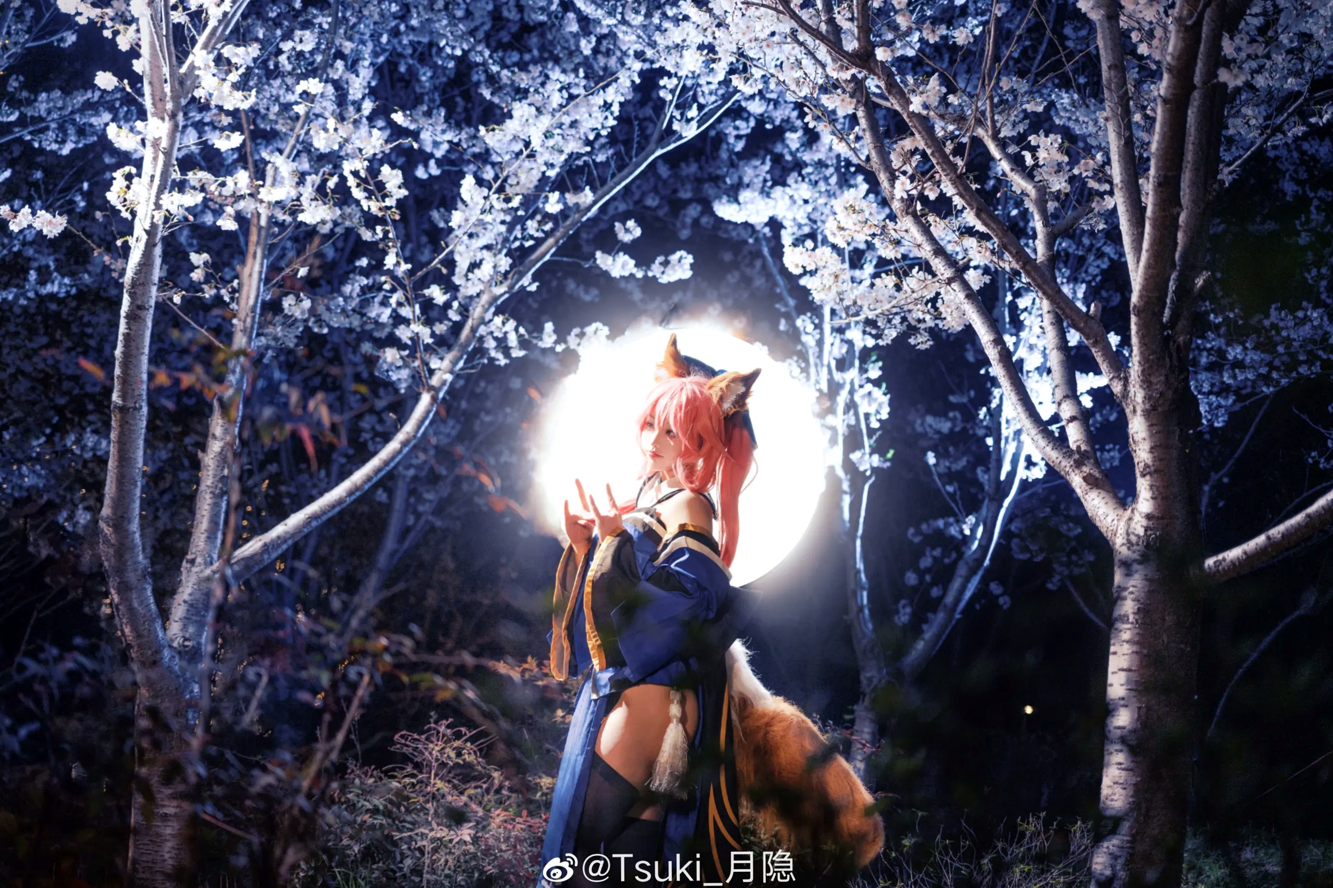 Tsuki_月隐 - 玉藻の前 角色扮演 夜景樱花和服美图 [12P]