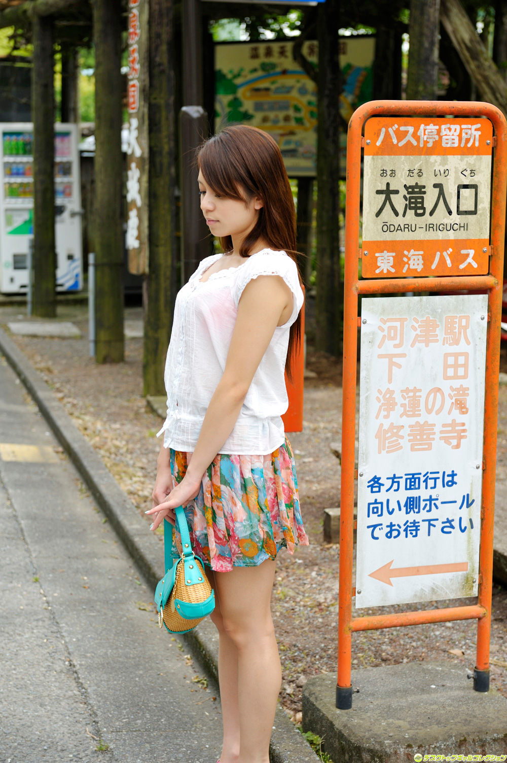 藤井雪莉(藤井シェリー)-芸能人より、美人[DGC]高清写真图套图写真图集No.1148
