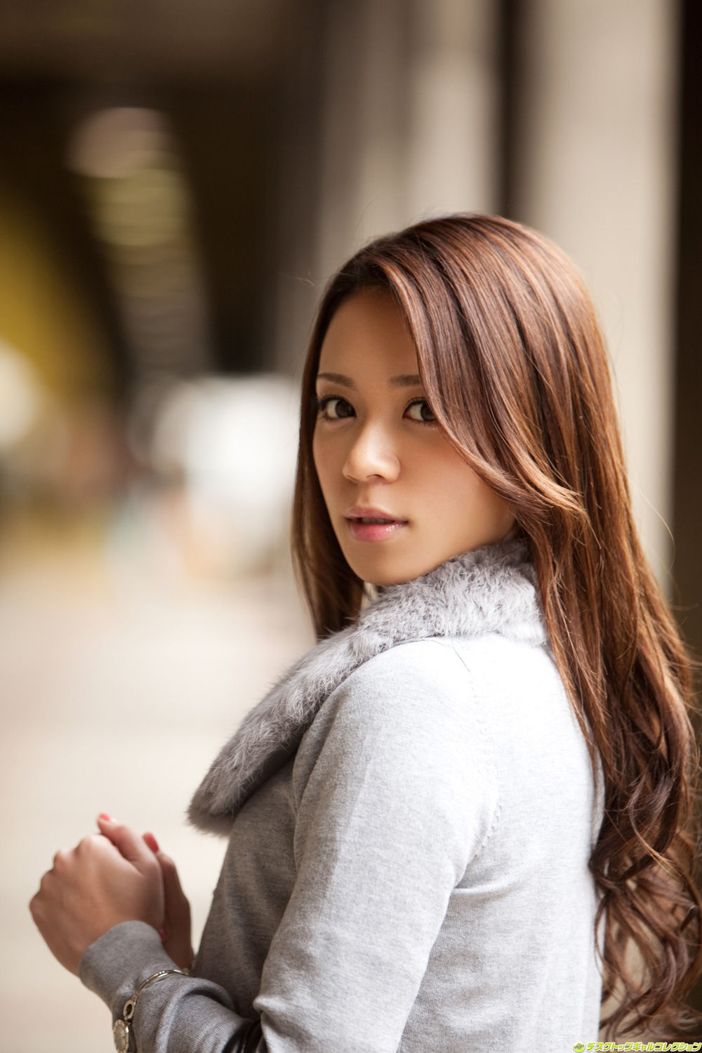 藤井雪莉(藤井シェリー)-[DGC]高清写真图套图写真图集No.1020