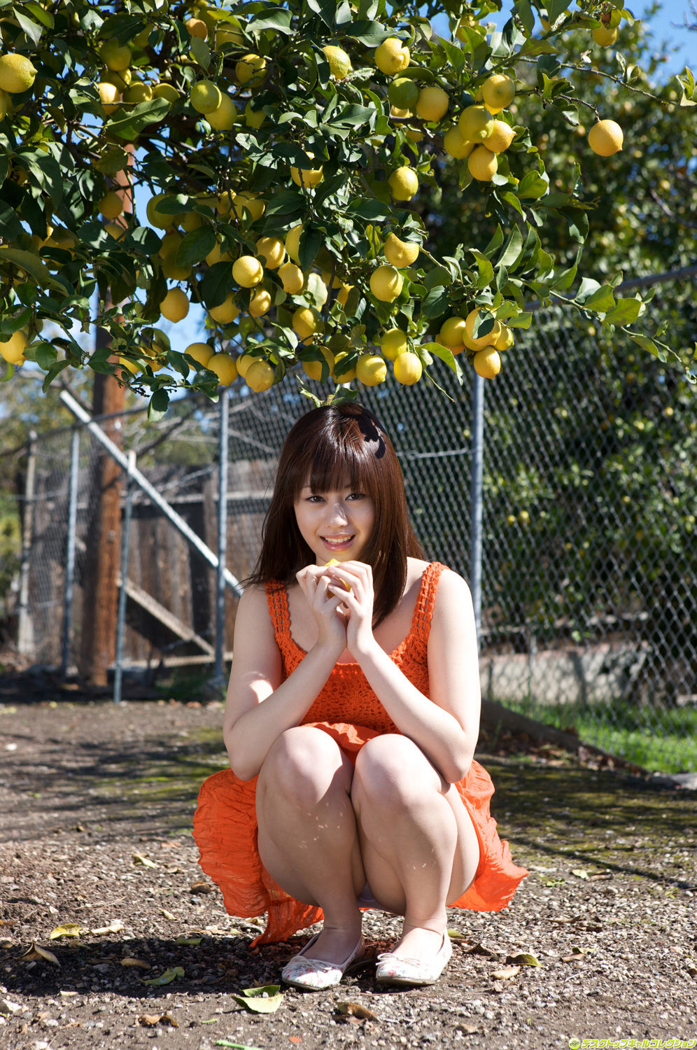 瑠川莉娜,瑠川里菜(瑠川リナ)-[DGC]套图No.836