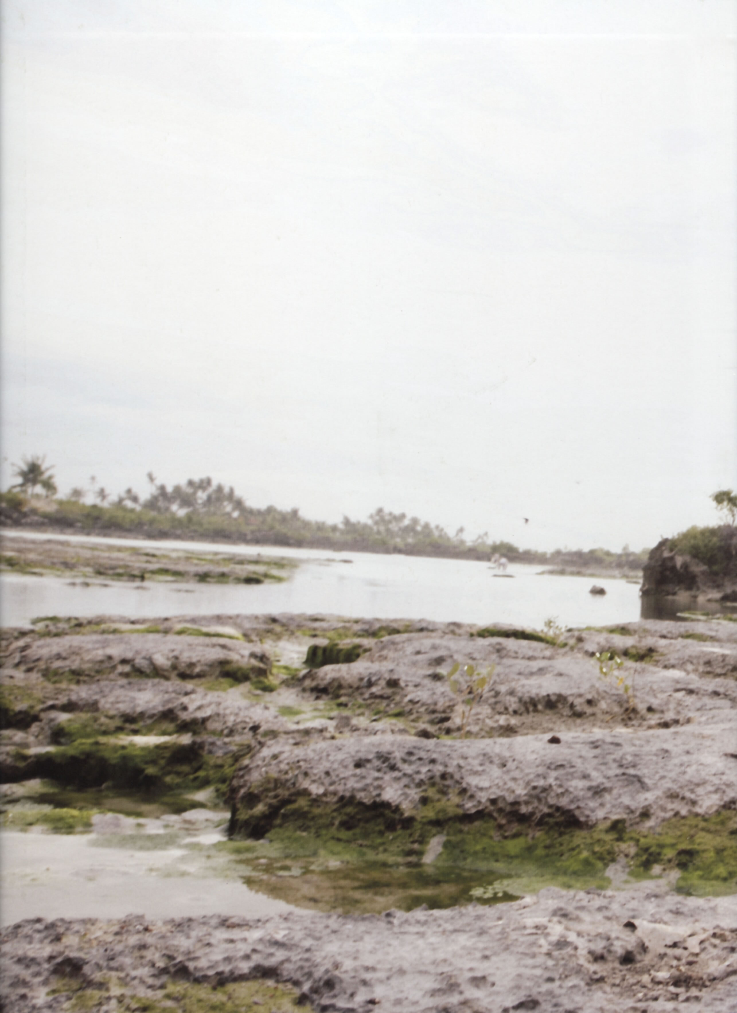 中西里菜 [PB写真图集]高清写真图First 写真图集