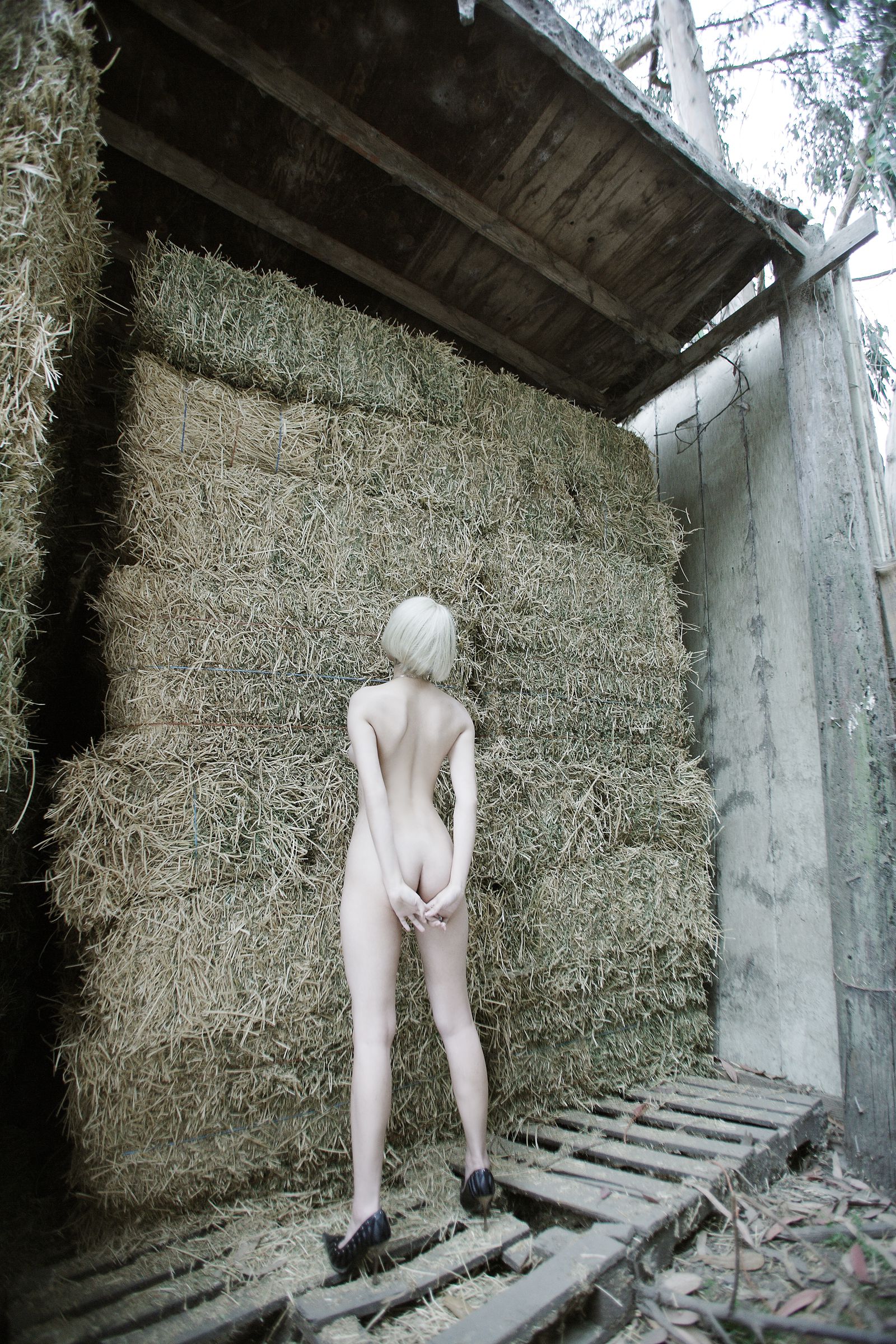 小松千春 [NS Eyes写真图]高清写真图SF-No.411