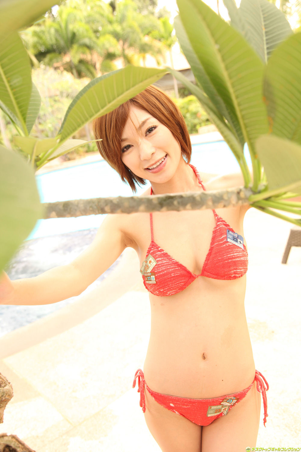 香澄果穗(かすみ果穂)-[DGC]高清写真图套图写真图集No.1031